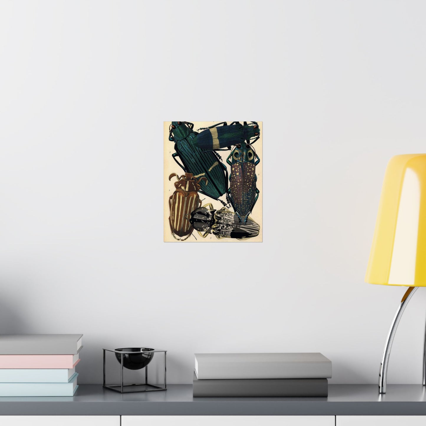 Insectes - EA Séguy - 1929 - page 14 High Quality Matte Wall Art Poster for Home, Office, Classroom