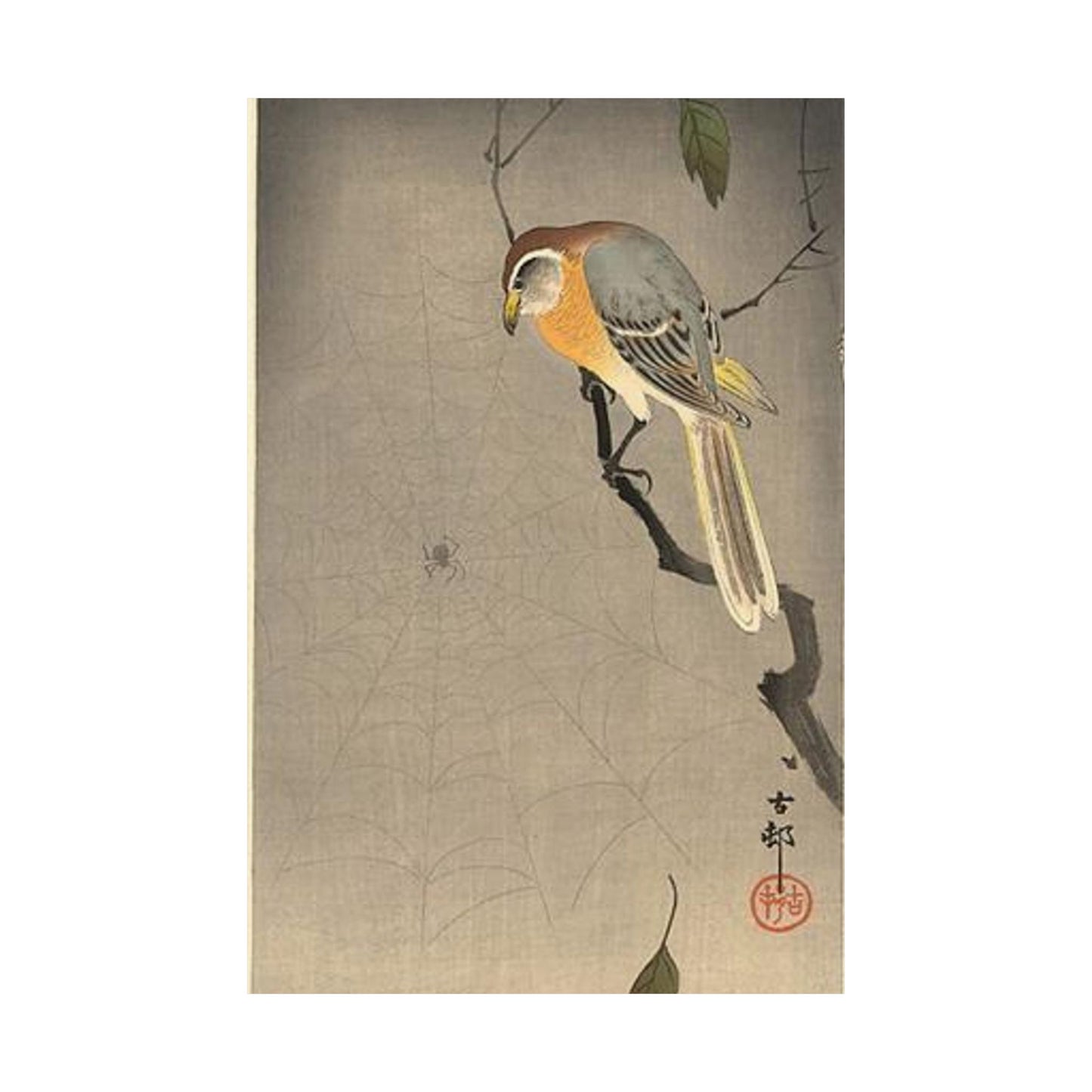 Koson - the-spiderweb, Ohara Koson High Quality Matte Wall Art Poster for Home, Office, Classroom