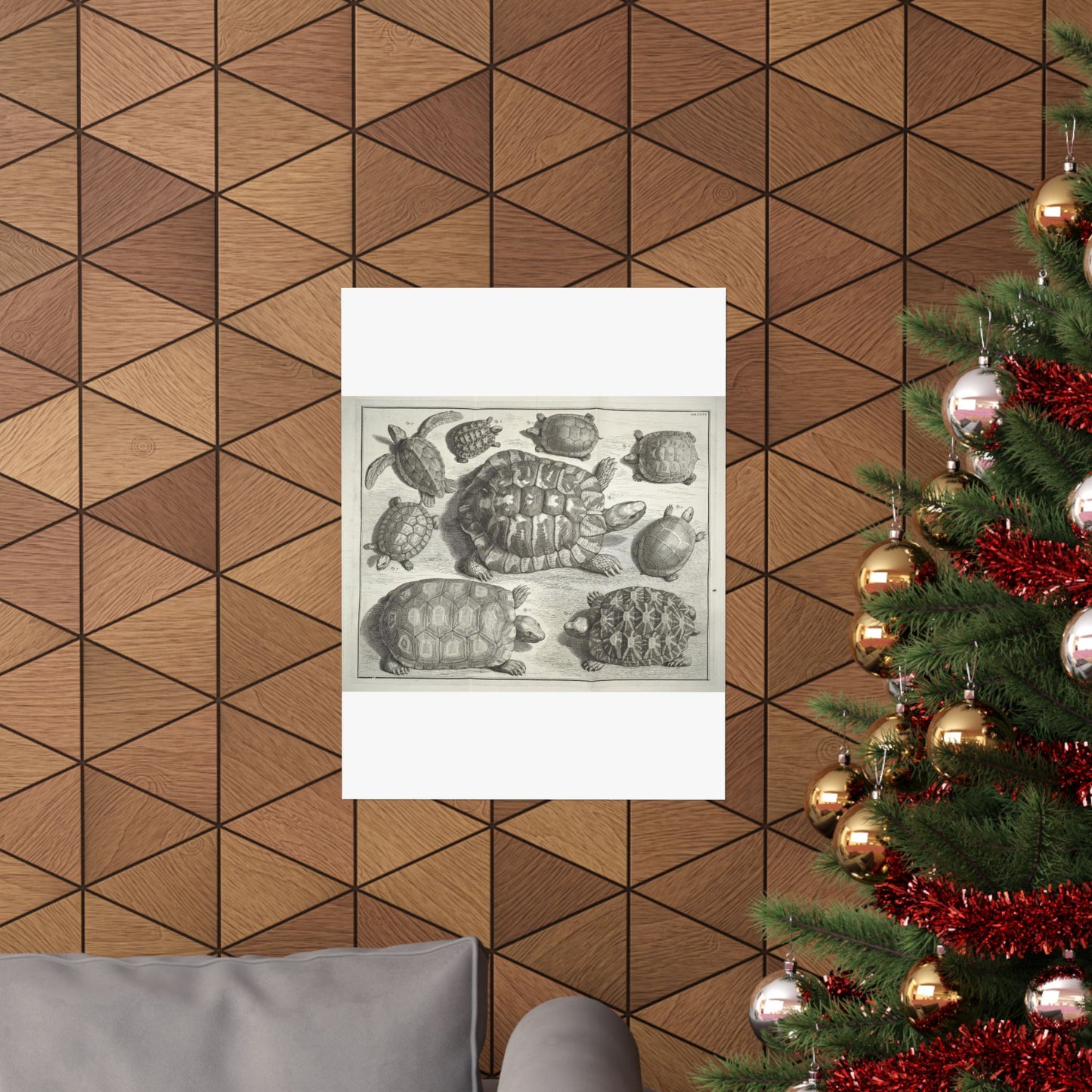 Albertus Seba t - Public domain portrait drawing High Quality Matte Wall Art Poster for Home, Office, Classroom