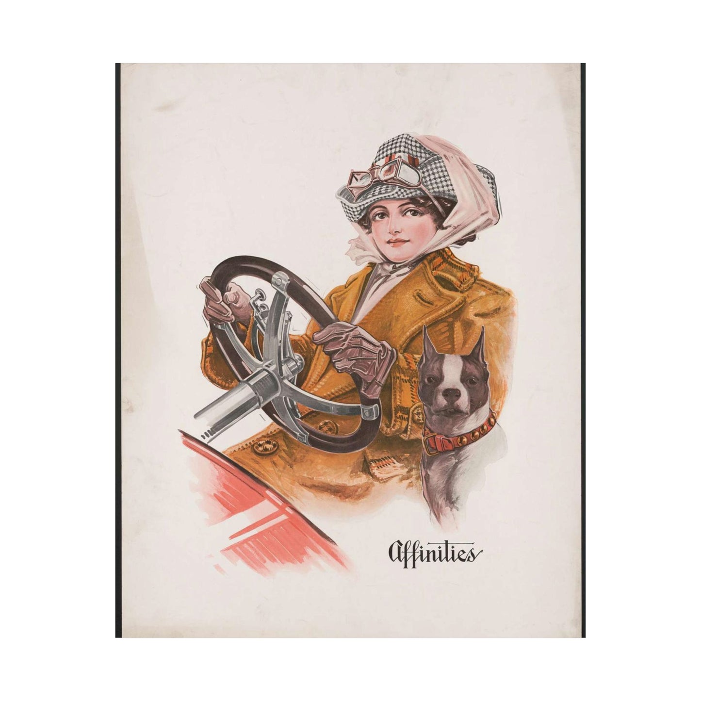 Affinities - Print, Library of Congress collection High Quality Matte Wall Art Poster for Home, Office, Classroom