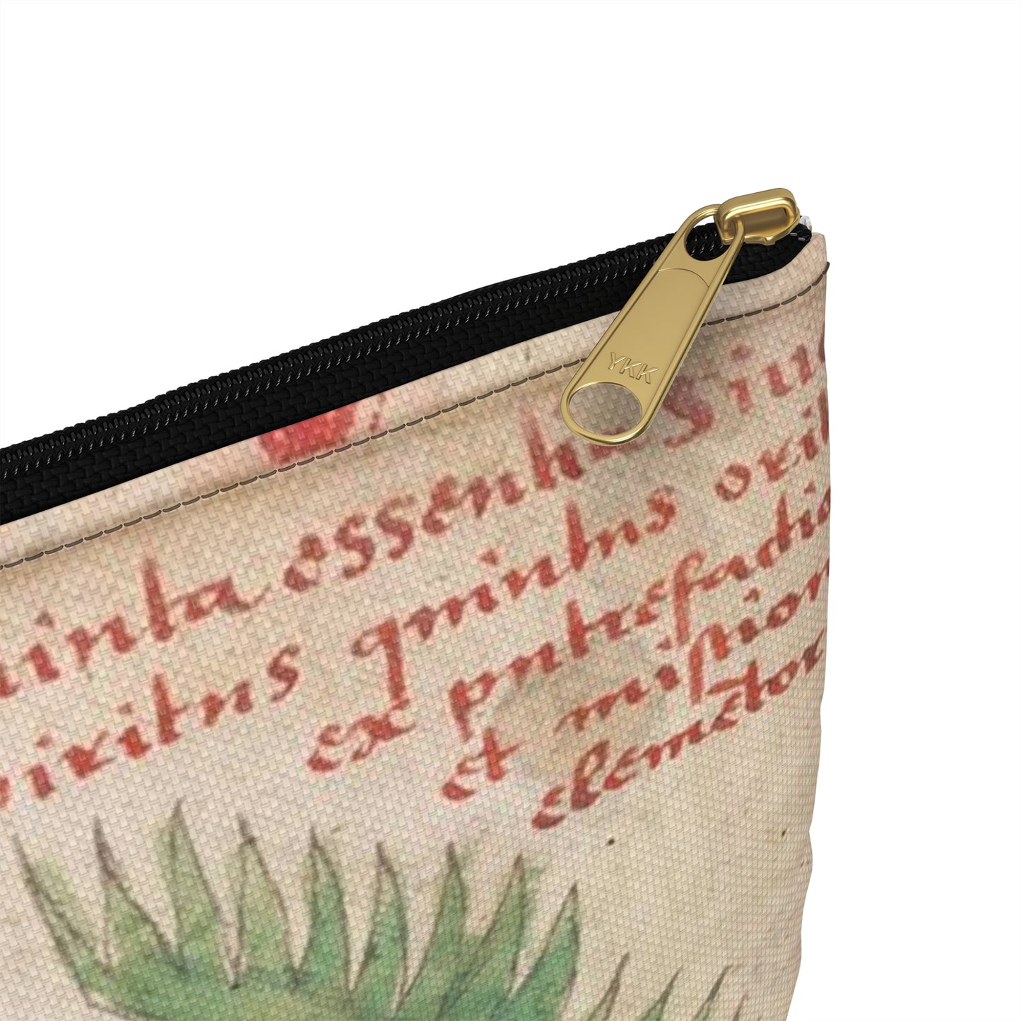 Bird from BL Sloane 1171, f. 19v Large Organizer Pouch with Black Zipper