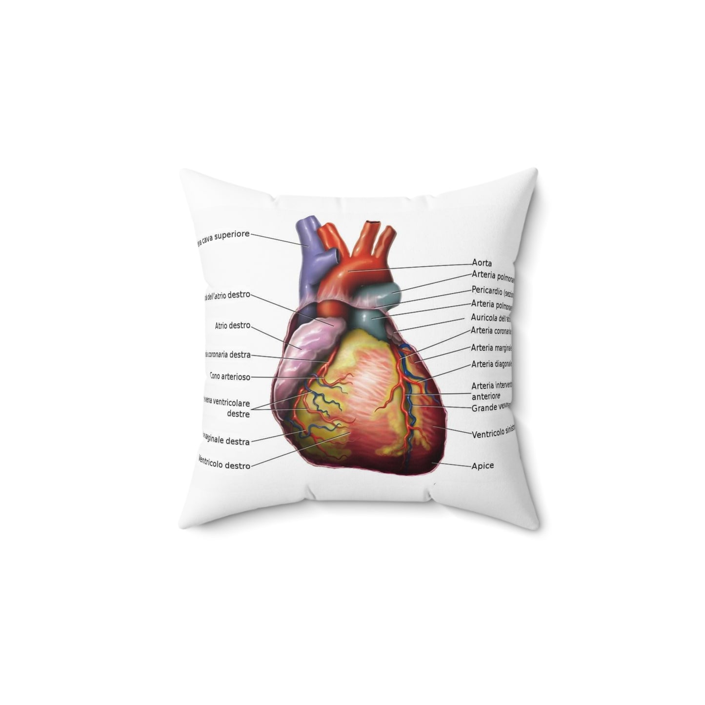 Anatomia del cuore Decorative Accent Square Pillow