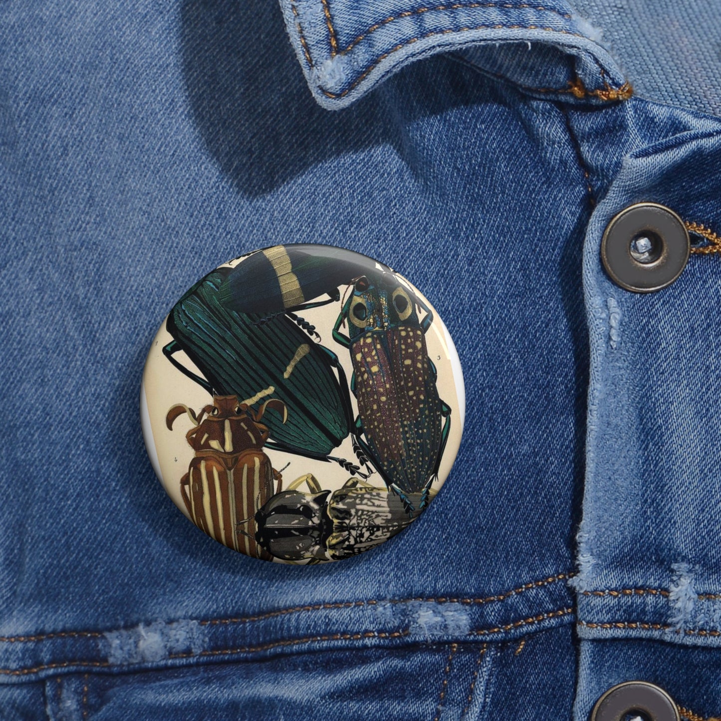 Insectes - EA Séguy - 1929 - page 14 Pin Buttons with Crisp Design