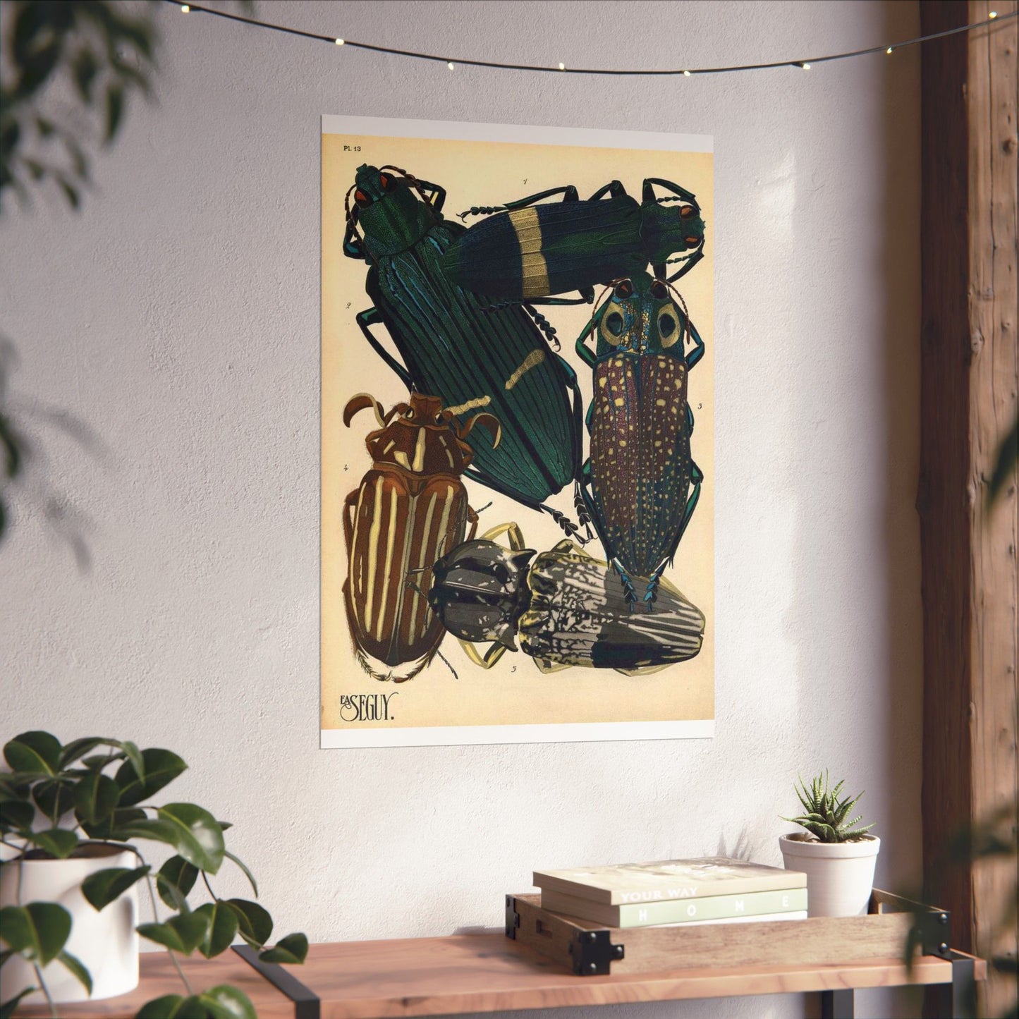 Insectes - EA Séguy - 1929 - page 14 High Quality Matte Wall Art Poster for Home, Office, Classroom