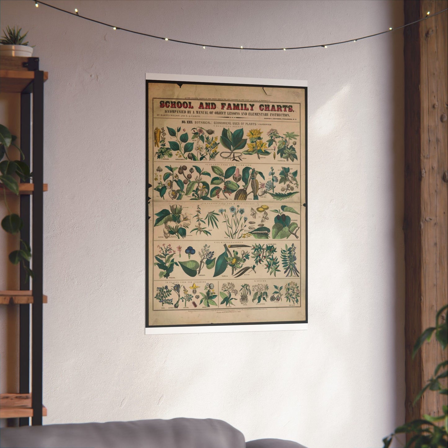 School and family charts, accompanied by a manual of object lessons and elementary instruction, by Marcius Willson and N.A. Calkins. No. XXII. Botanical: economical uses of plants-continued High Quality Matte Wall Art Poster for Home, Office, Classroom
