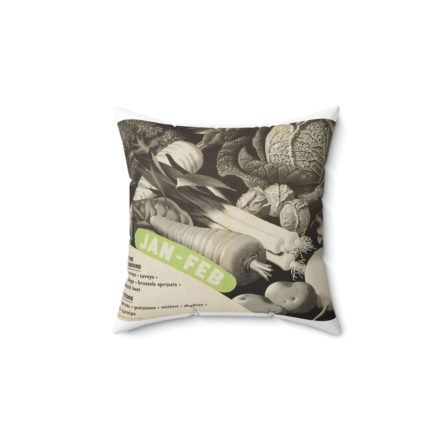 (vegetables to Grow) Jan-feb Art.IWMPST20656 Decorative Accent Square Pillow