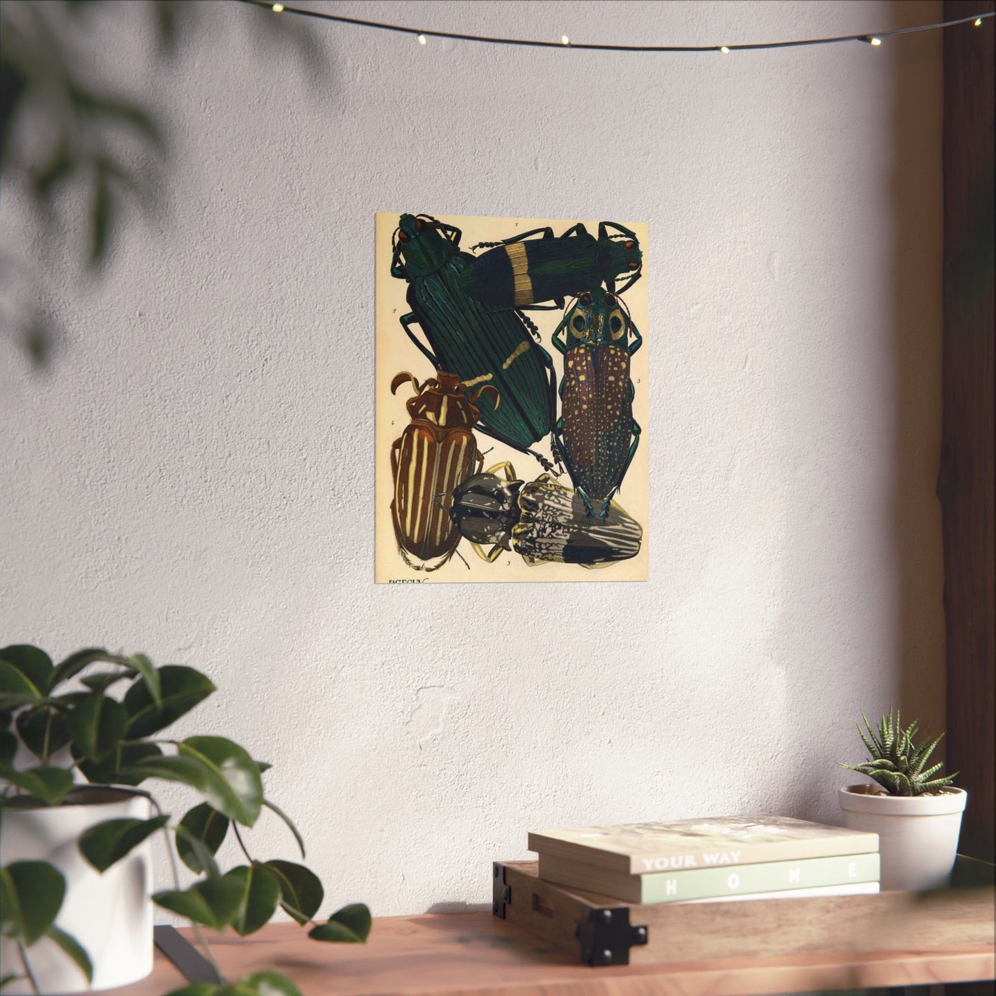 Insectes - EA Séguy - 1929 - page 14 High Quality Matte Wall Art Poster for Home, Office, Classroom