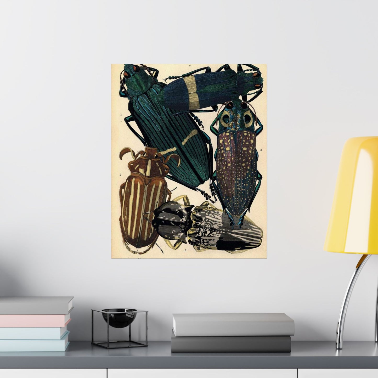 Insectes - EA Séguy - 1929 - page 14 High Quality Matte Wall Art Poster for Home, Office, Classroom