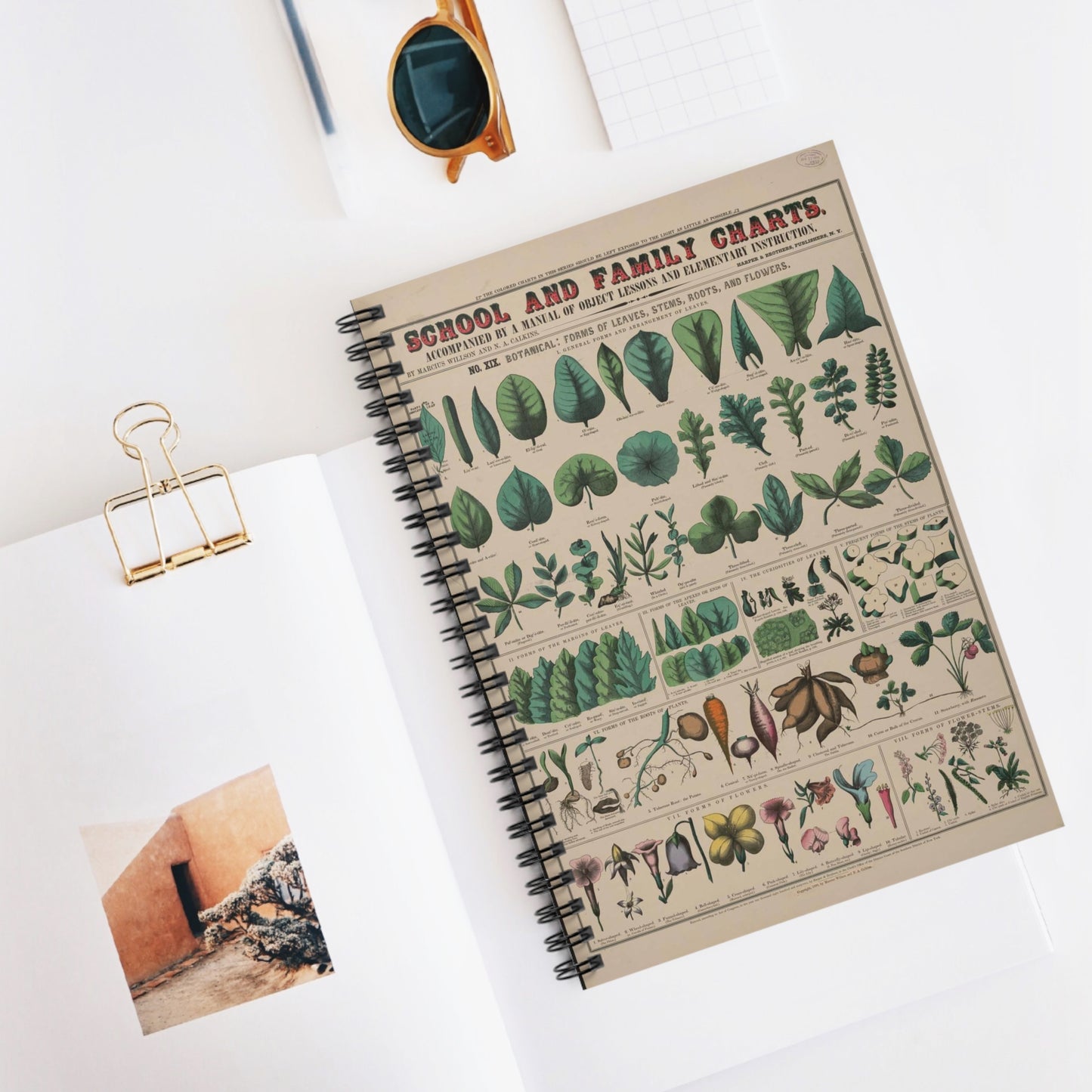 School and family charts, accompanied by a manual of object lessons and elementary instruction, by Marcius Willson and N.A. Calkins. No. XIX. Botanical: forms of leaves, stems, roots, and flowers Spiral Bound Ruled Notebook with Printed Cover
