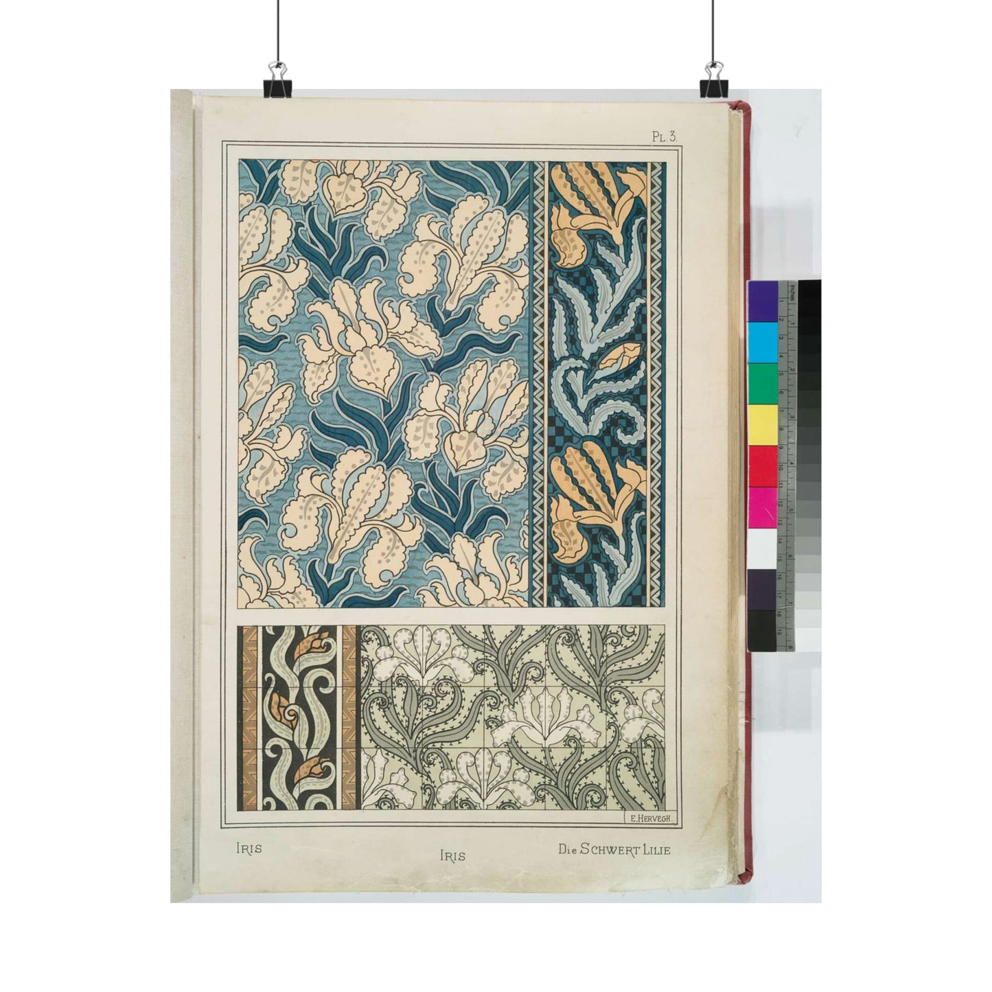 Iris, E. Hervegh. Eugene Grasset, compiler High Quality Matte Wall Art Poster for Home, Office, Classroom