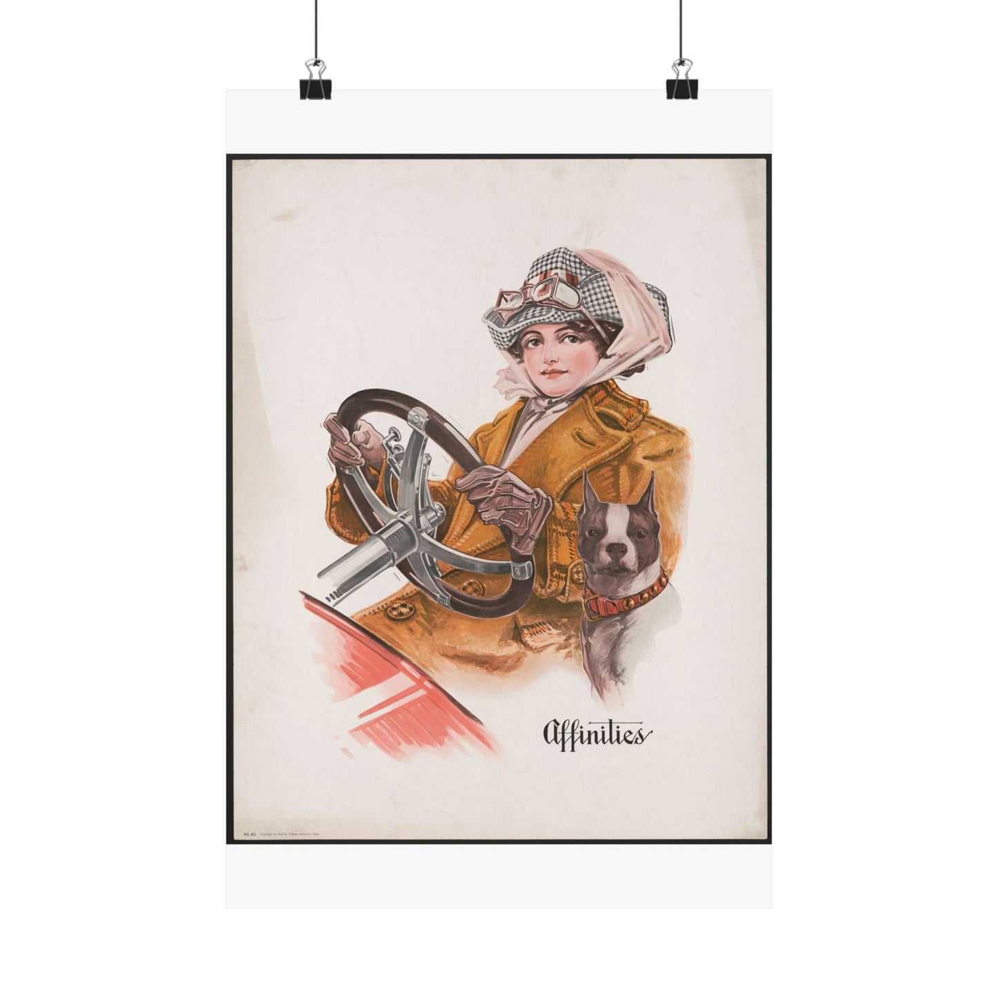 Affinities - Print, Library of Congress collection High Quality Matte Wall Art Poster for Home, Office, Classroom