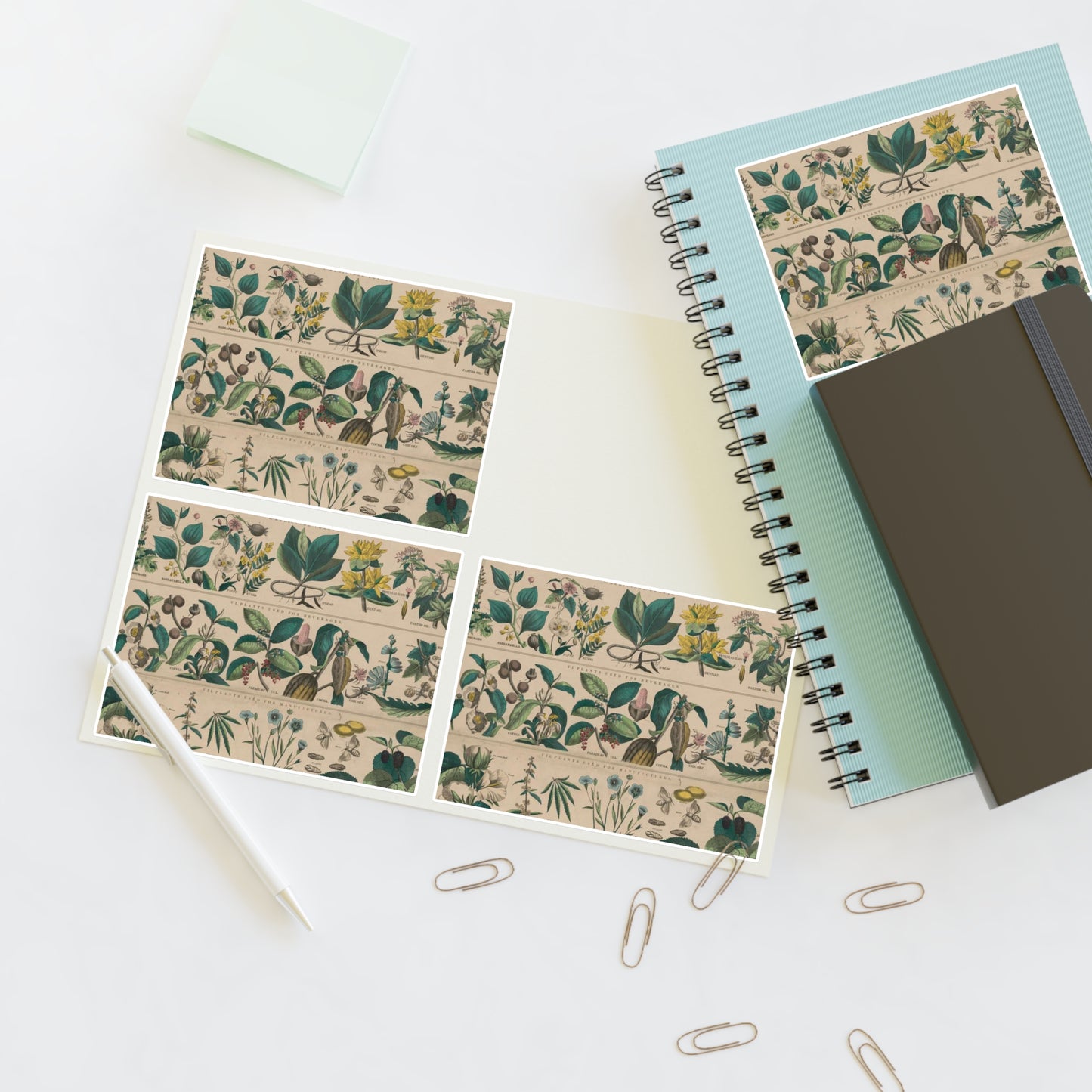 School and family charts, accompanied by a manual of object lessons and elementary instruction, by Marcius Willson and N.A. Calkins. No. XXII. Botanical: economical uses of plants-continued Laminated UV Protective Vinyl Stickers