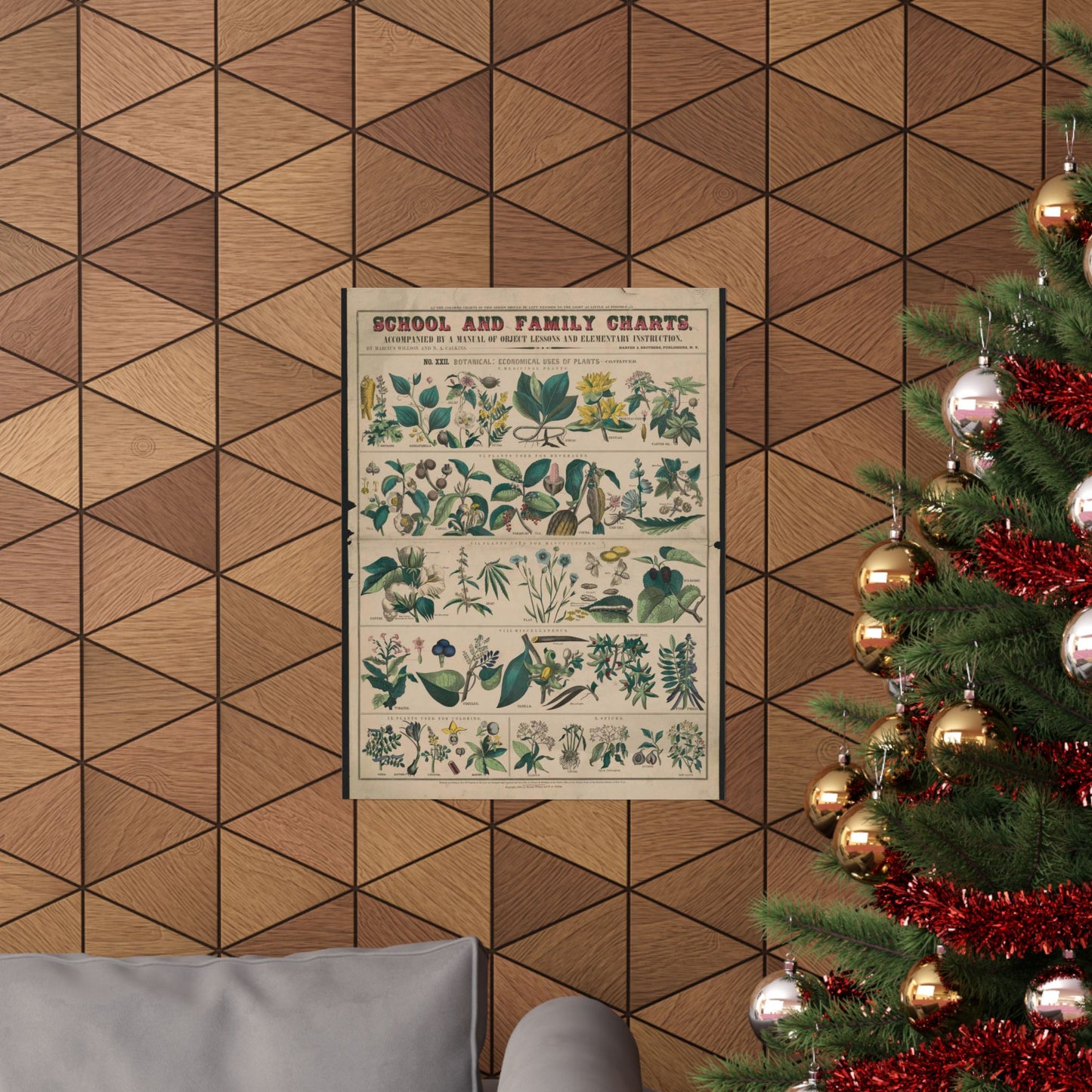School and family charts, accompanied by a manual of object lessons and elementary instruction, by Marcius Willson and N.A. Calkins. No. XXII. Botanical: economical uses of plants-continued High Quality Matte Wall Art Poster for Home, Office, Classroom