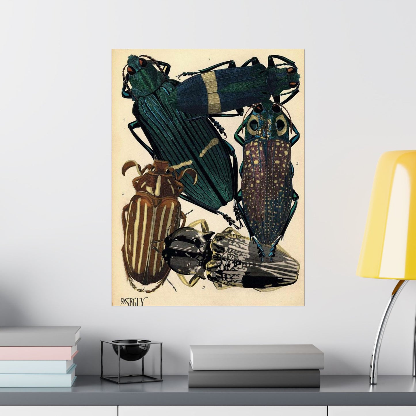 Insectes - EA Séguy - 1929 - page 14 High Quality Matte Wall Art Poster for Home, Office, Classroom