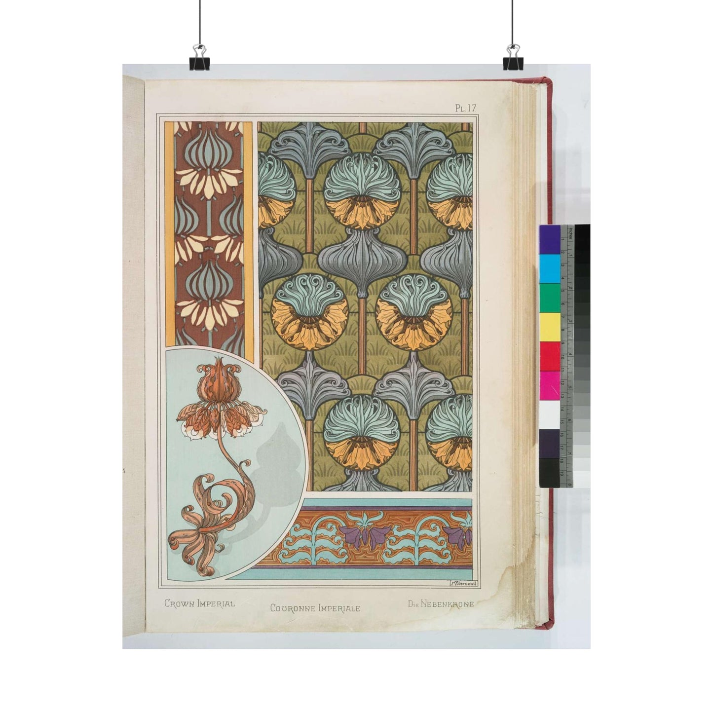 Couronne imperiale, Maurice Pillard Verneuil High Quality Matte Wall Art Poster for Home, Office, Classroom