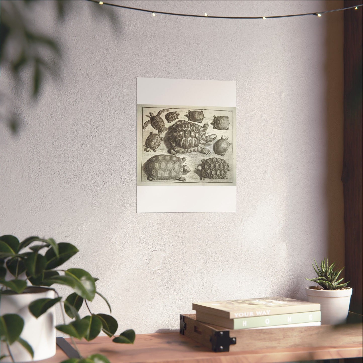 Albertus Seba t - Public domain portrait drawing High Quality Matte Wall Art Poster for Home, Office, Classroom