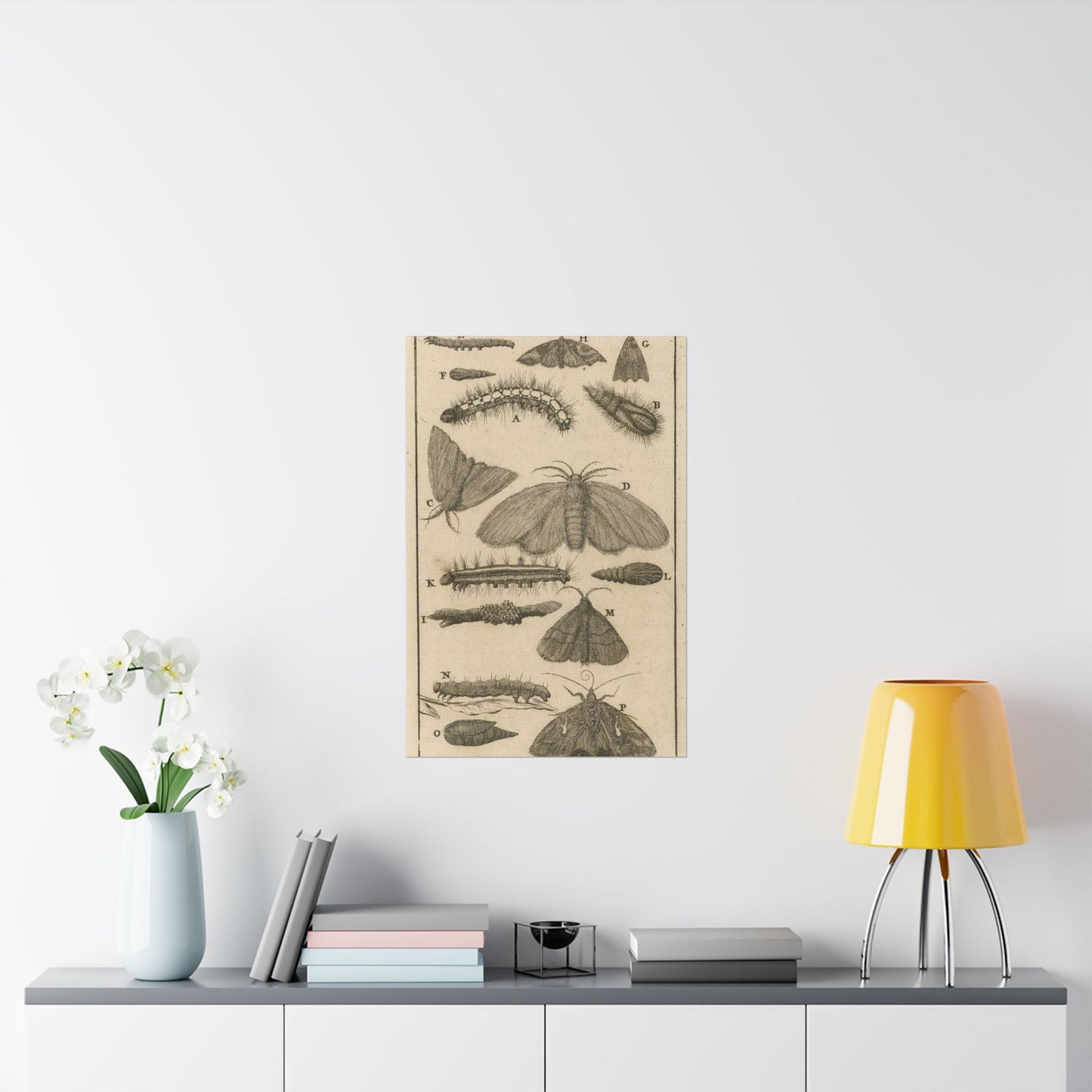 Jan Luyken - Rupsen, poppen en vlinders VIII High Quality Matte Wall Art Poster for Home, Office, Classroom