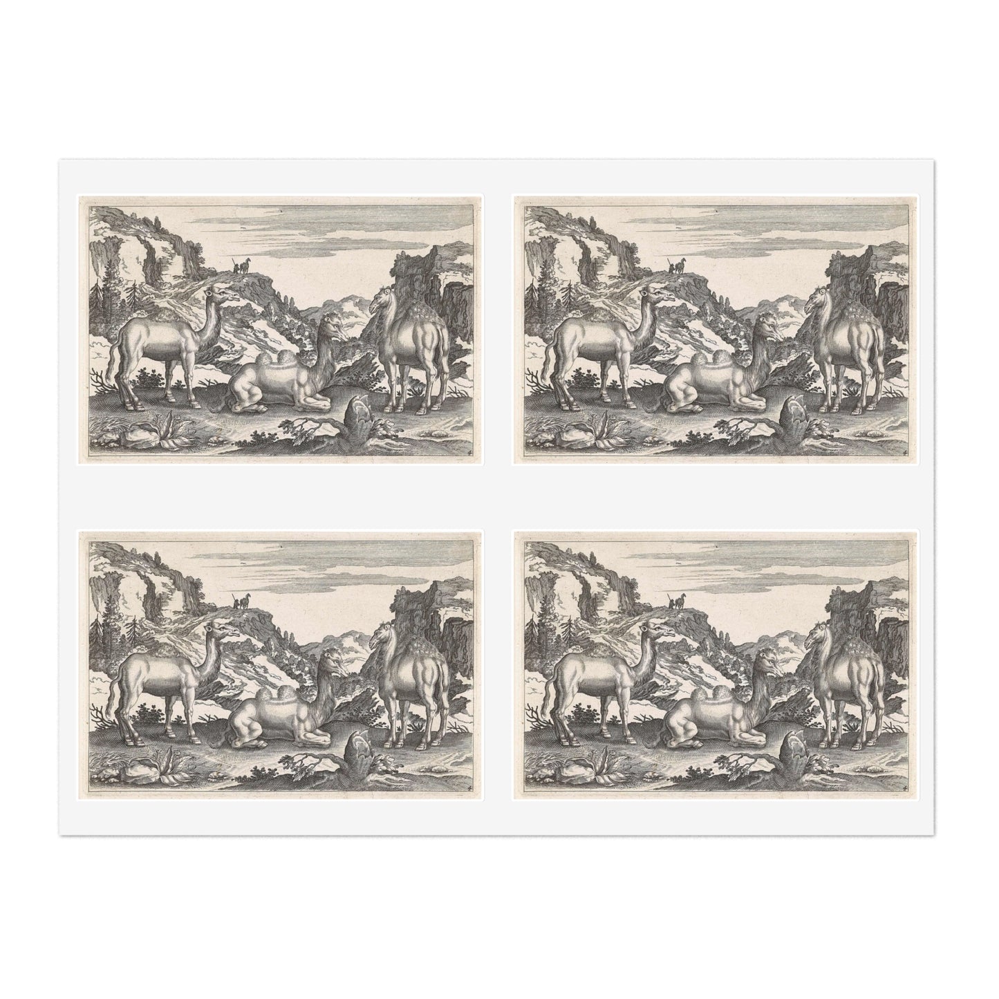 Adriaen Collaert - Dromedarissen en een kameel Laminated UV Protective Vinyl Stickers