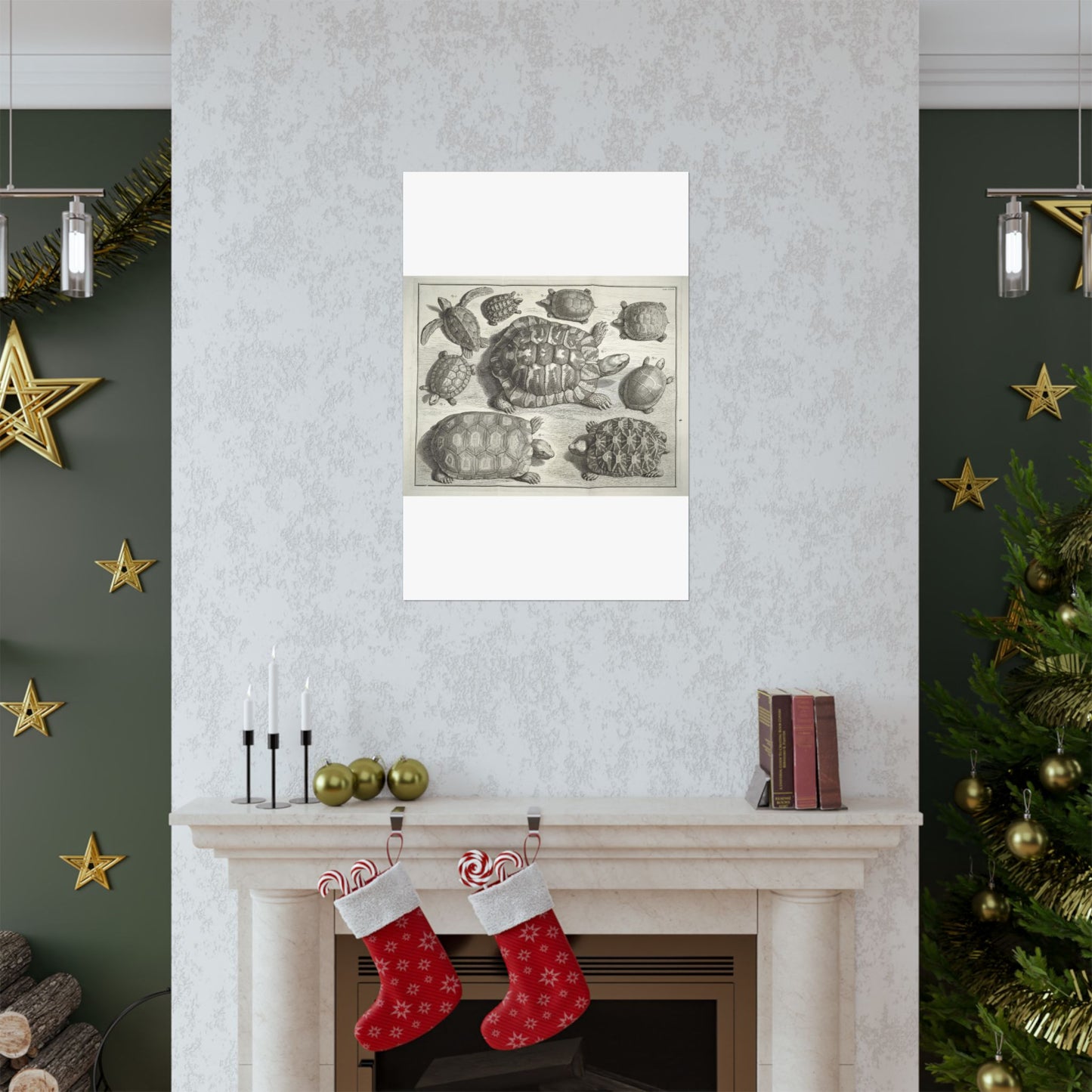Albertus Seba t - Public domain portrait drawing High Quality Matte Wall Art Poster for Home, Office, Classroom