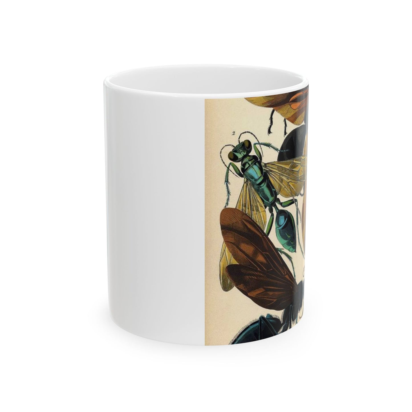Insectes - EA Séguy - 1929 - page 07 Beautiful Novelty Ceramic Coffee Mug 11oz