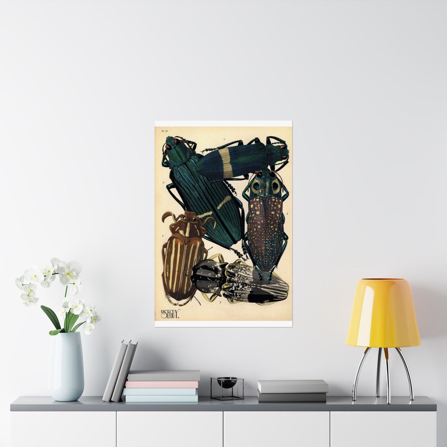 Insectes - EA Séguy - 1929 - page 14 High Quality Matte Wall Art Poster for Home, Office, Classroom