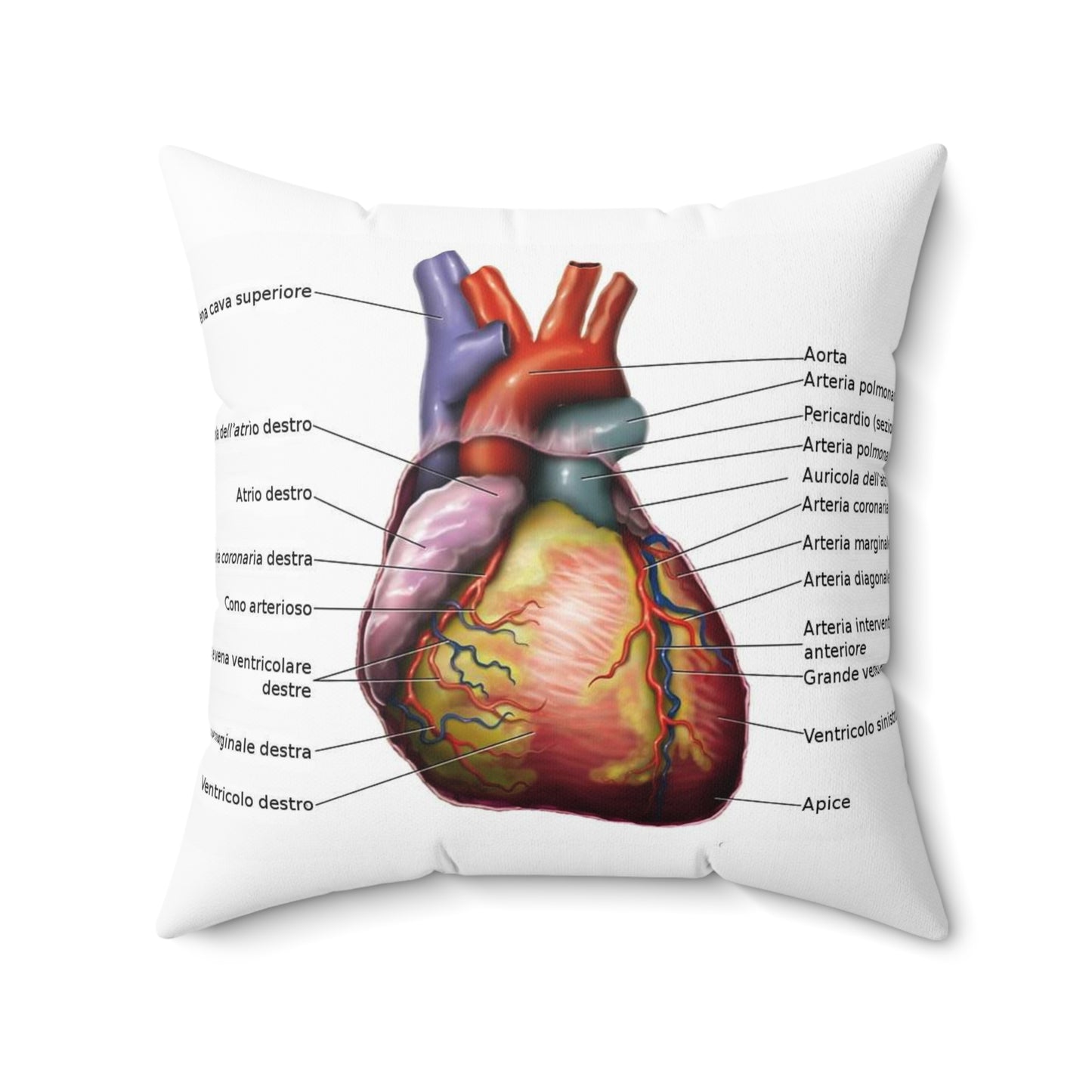Anatomia del cuore Decorative Accent Square Pillow
