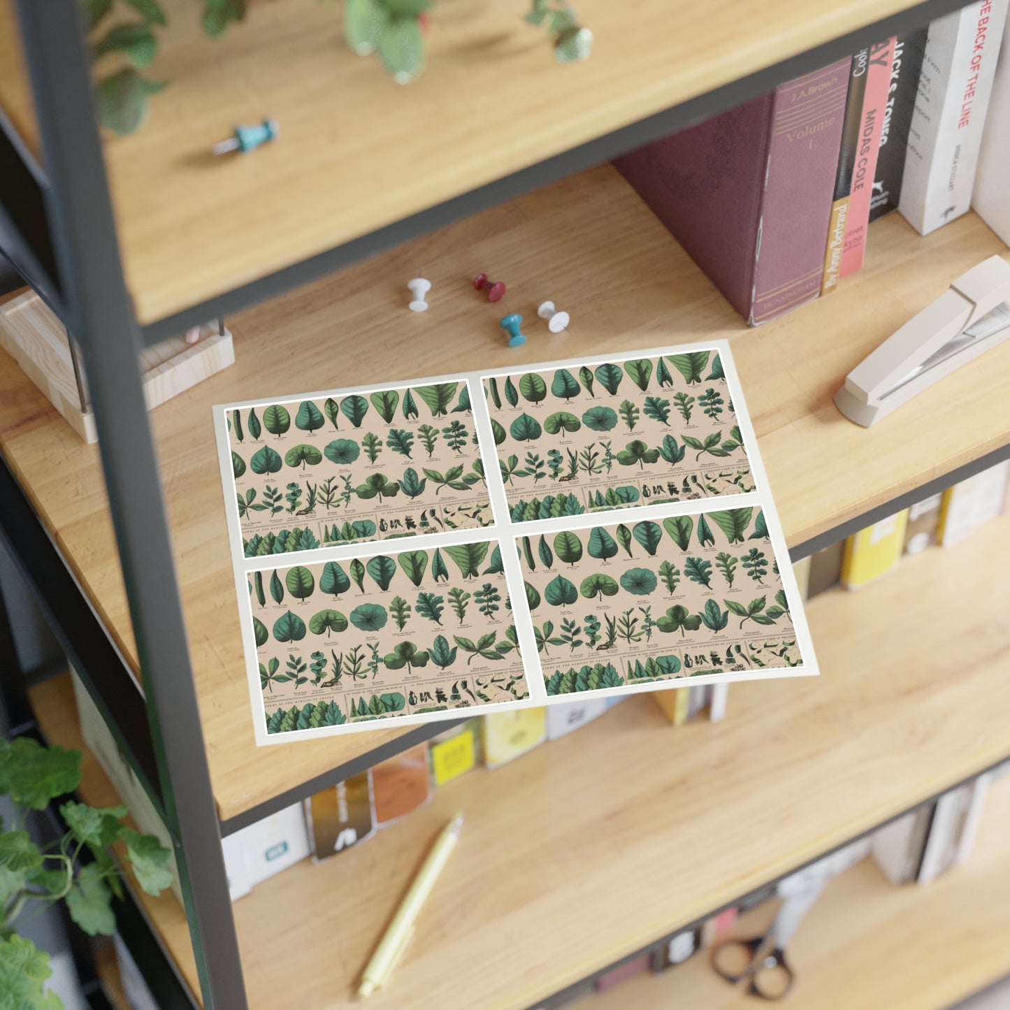 School and family charts, accompanied by a manual of object lessons and elementary instruction, by Marcius Willson and N.A. Calkins. No. XIX. Botanical: forms of leaves, stems, roots, and flowers Laminated UV Protective Vinyl Stickers