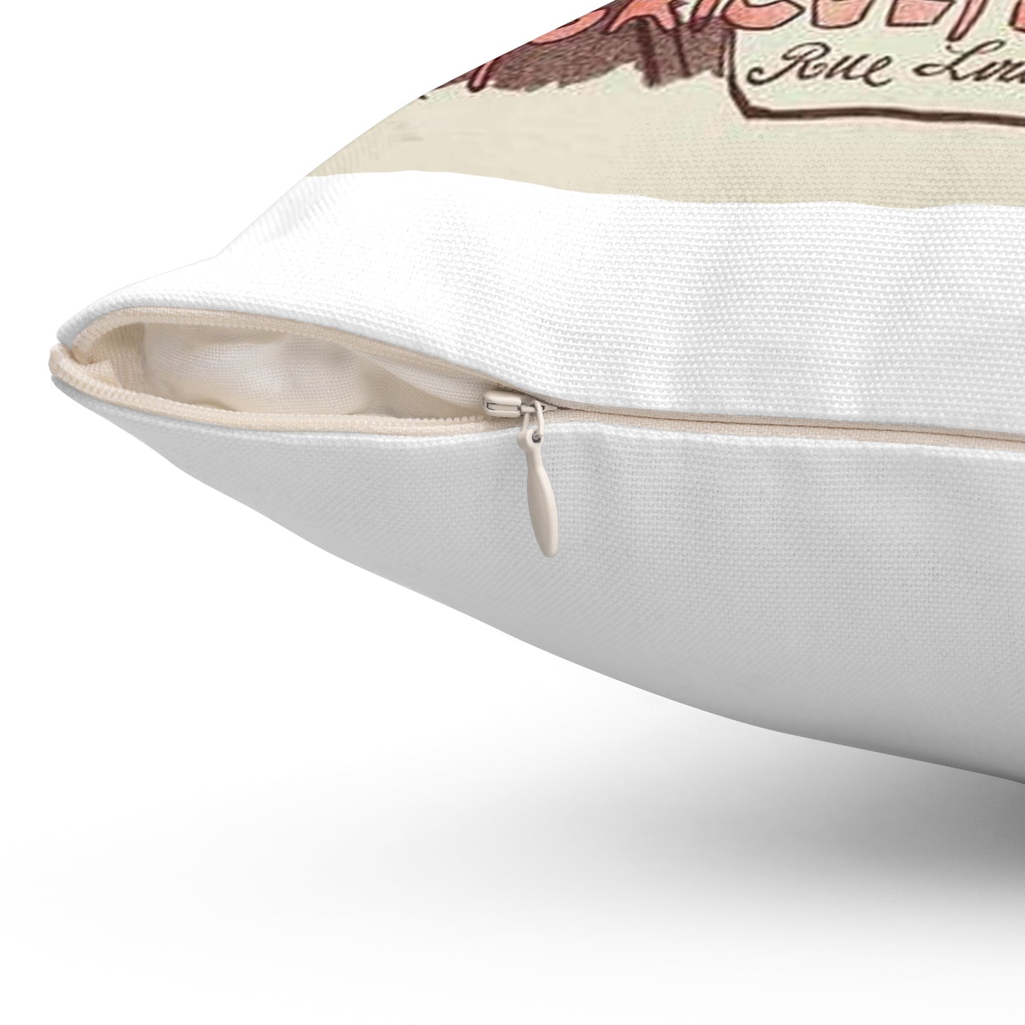Affiche pour le "Syndicat central des Agriculteurs de France". Decorative Accent Square Pillow