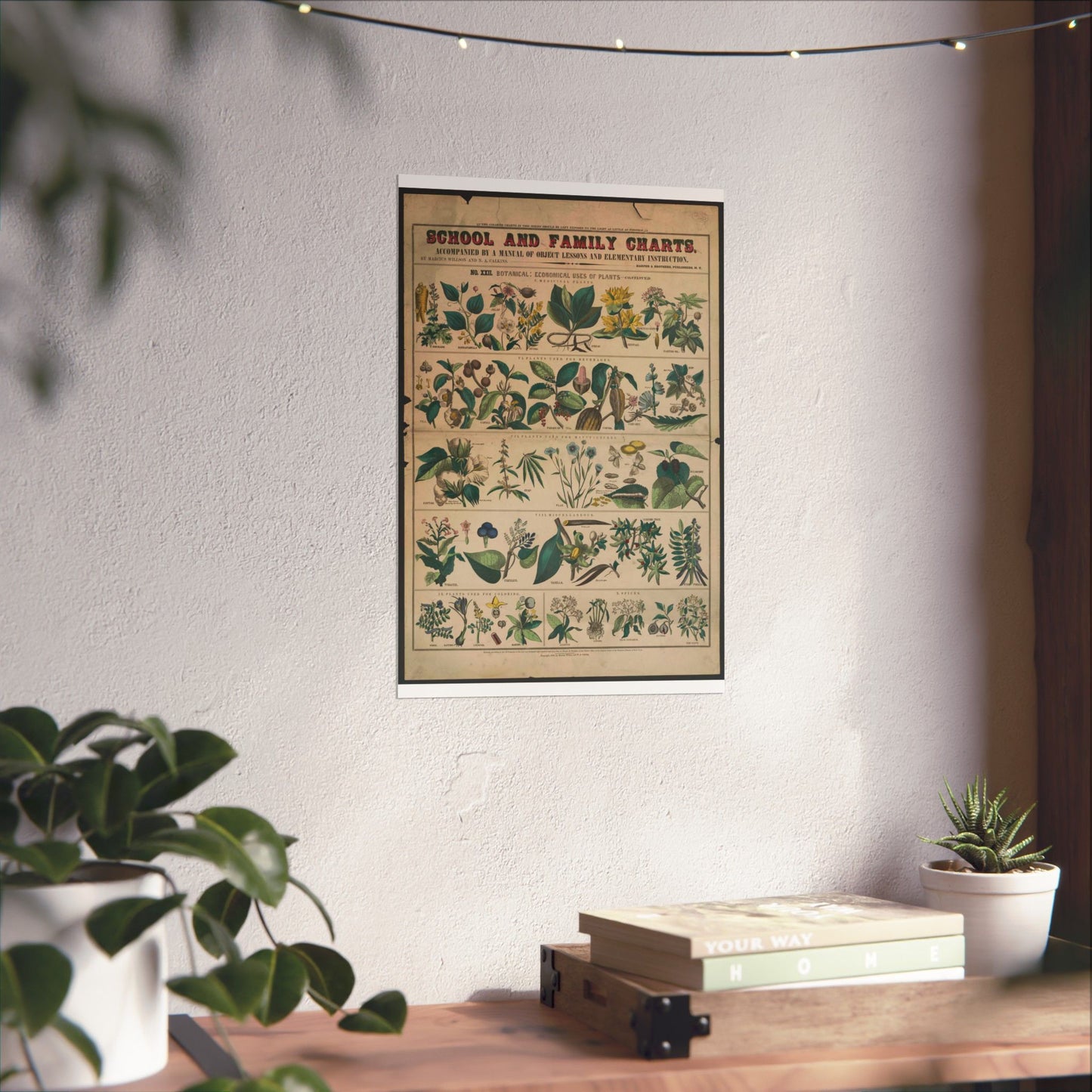 School and family charts, accompanied by a manual of object lessons and elementary instruction, by Marcius Willson and N.A. Calkins. No. XXII. Botanical: economical uses of plants-continued High Quality Matte Wall Art Poster for Home, Office, Classroom