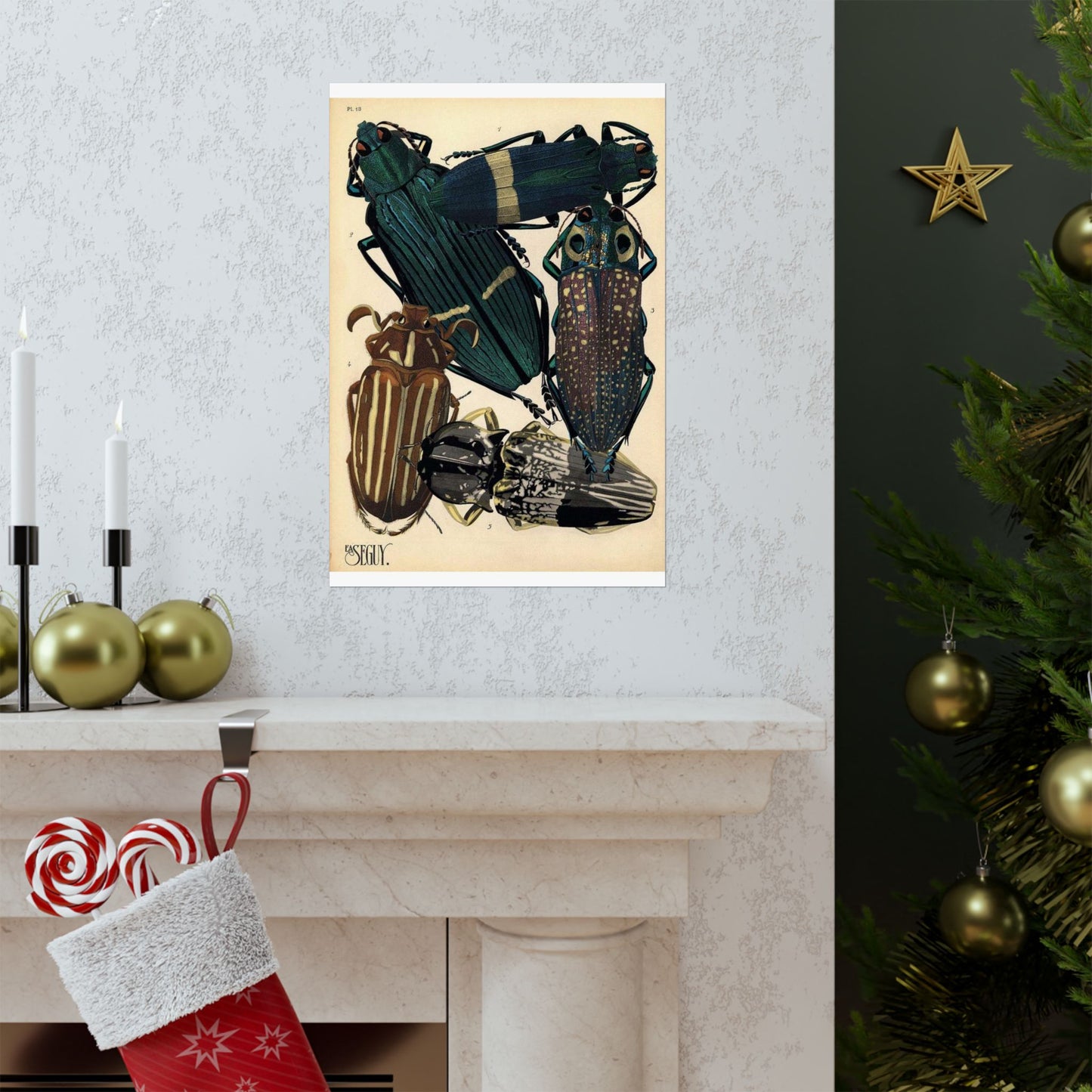 Insectes - EA Séguy - 1929 - page 14 High Quality Matte Wall Art Poster for Home, Office, Classroom