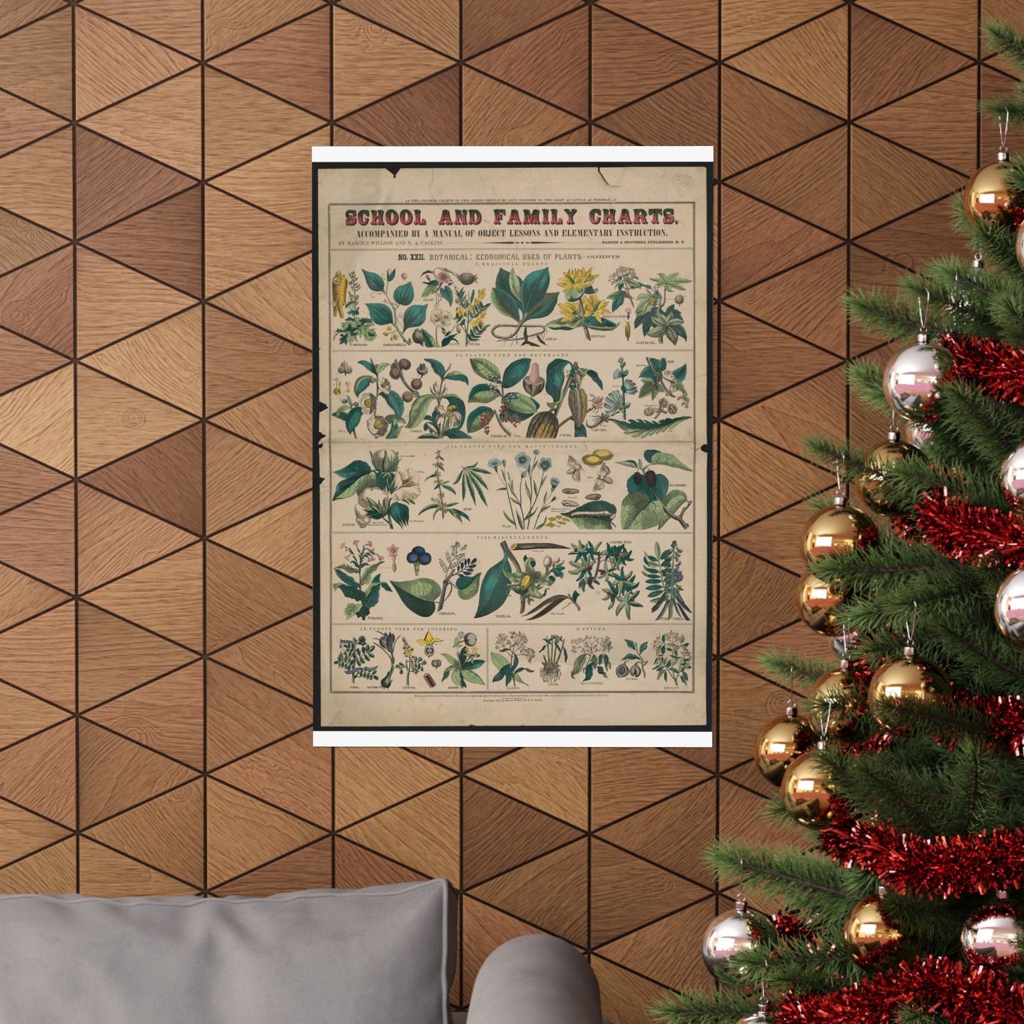 School and family charts, accompanied by a manual of object lessons and elementary instruction, by Marcius Willson and N.A. Calkins. No. XXII. Botanical: economical uses of plants-continued High Quality Matte Wall Art Poster for Home, Office, Classroom