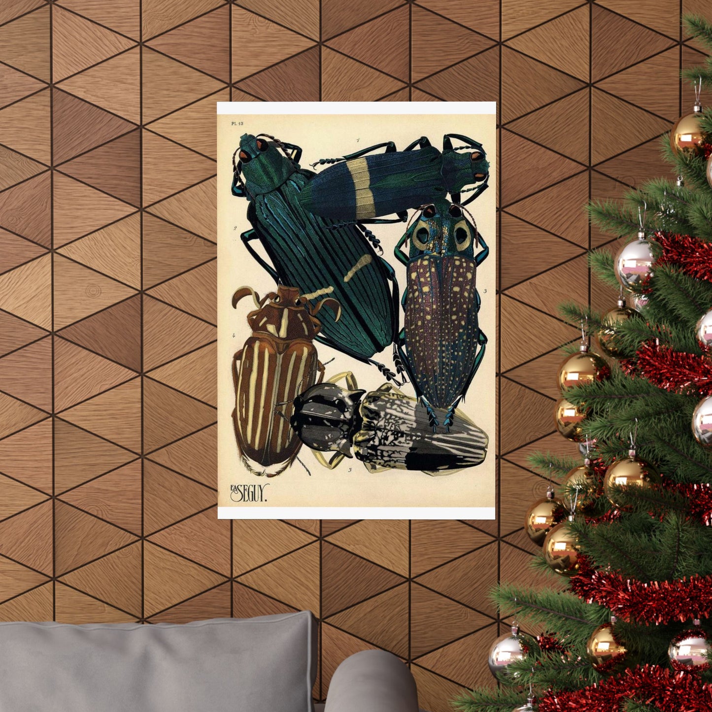 Insectes - EA Séguy - 1929 - page 14 High Quality Matte Wall Art Poster for Home, Office, Classroom