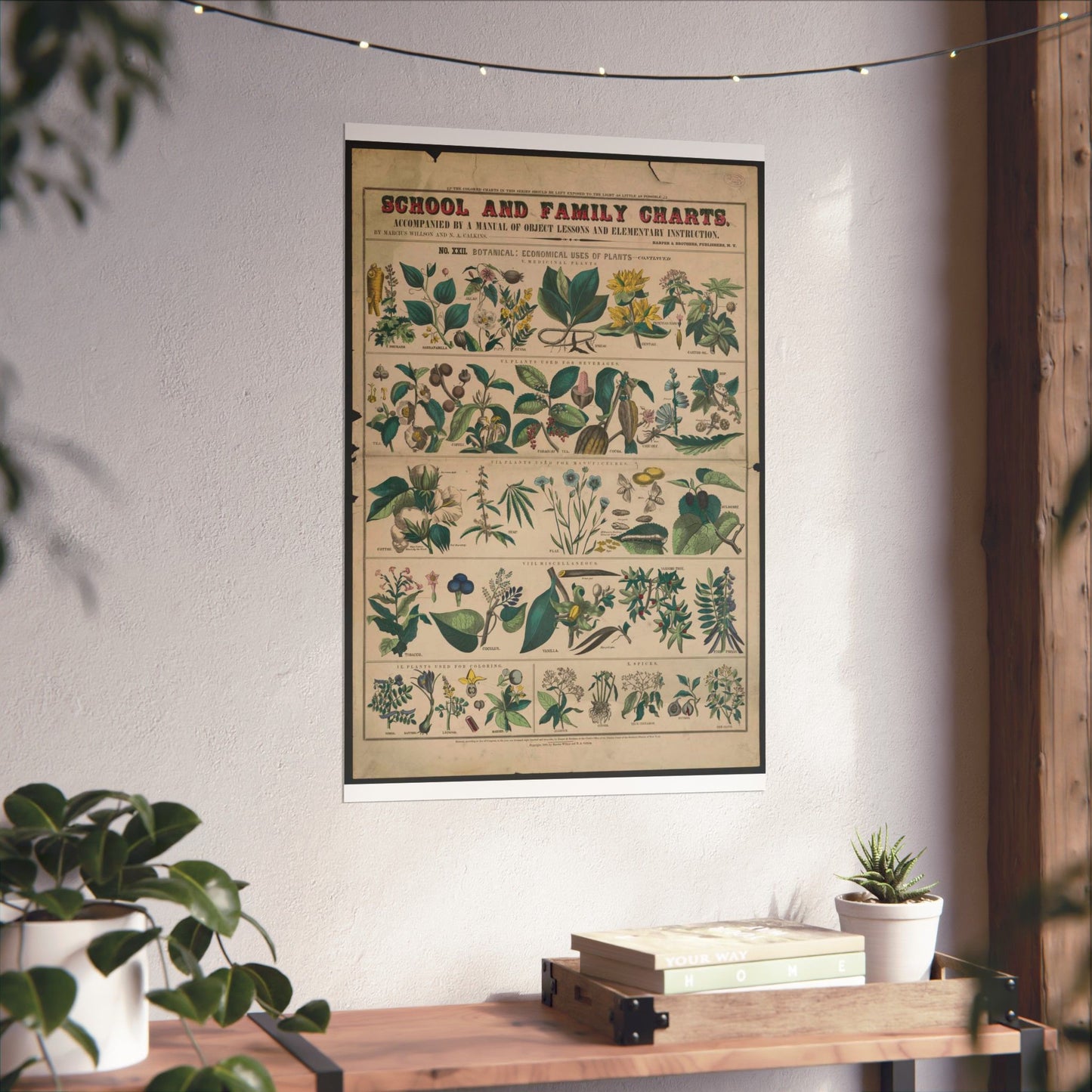 School and family charts, accompanied by a manual of object lessons and elementary instruction, by Marcius Willson and N.A. Calkins. No. XXII. Botanical: economical uses of plants-continued High Quality Matte Wall Art Poster for Home, Office, Classroom