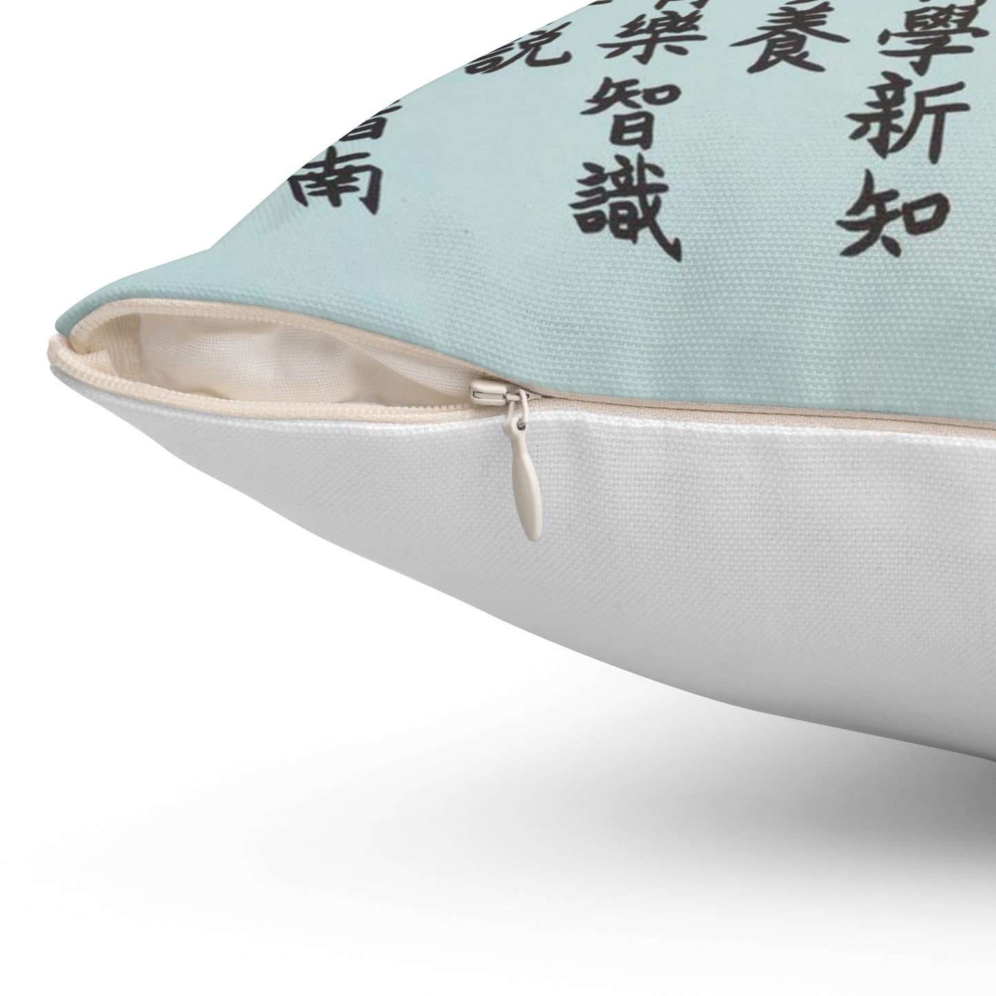 Promotion Poster "High School Student" Decorative Accent Square Pillow