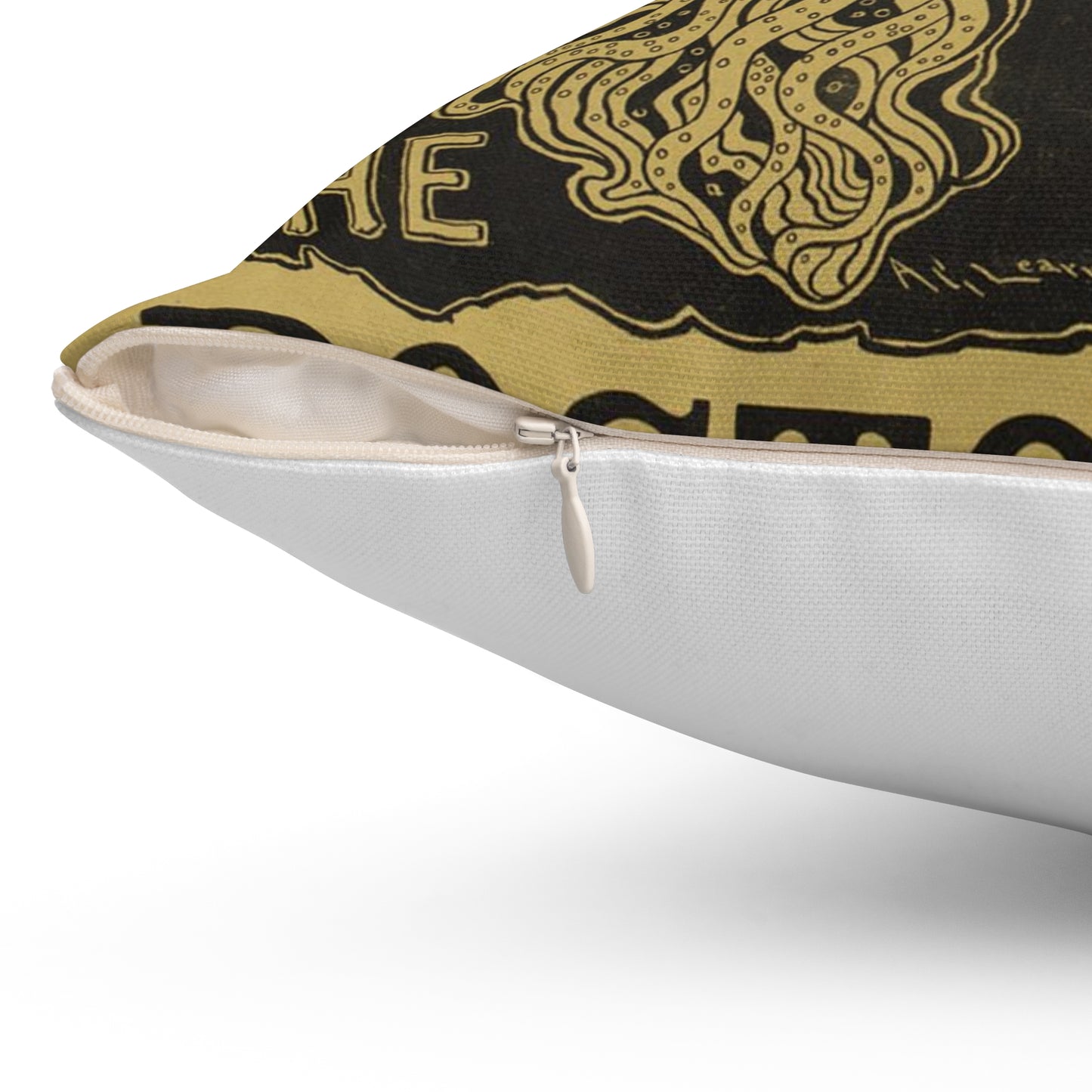The coming woman. The bostonian. Decorative Accent Square Pillow