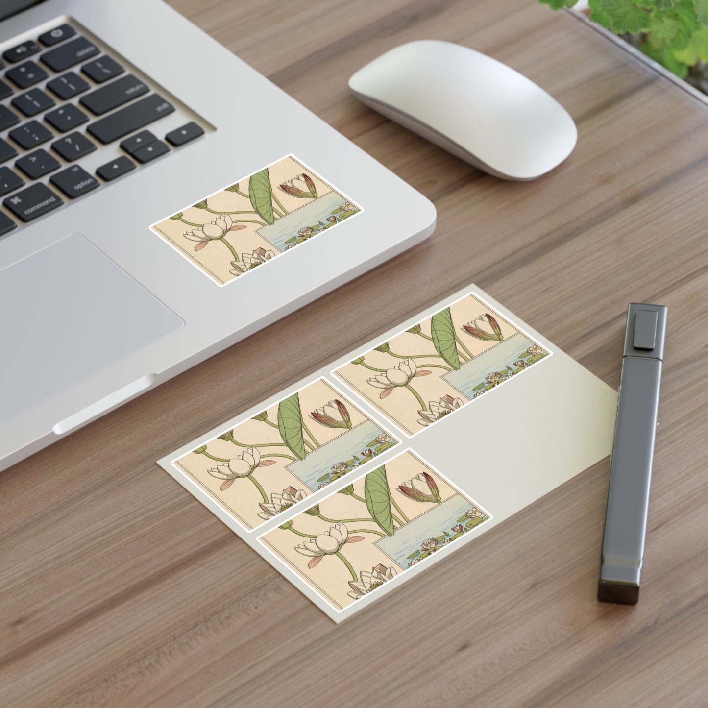 Nénuphar Verneuil Pl 1 - Public domain botanical illustration Laminated UV Protective Vinyl Stickers