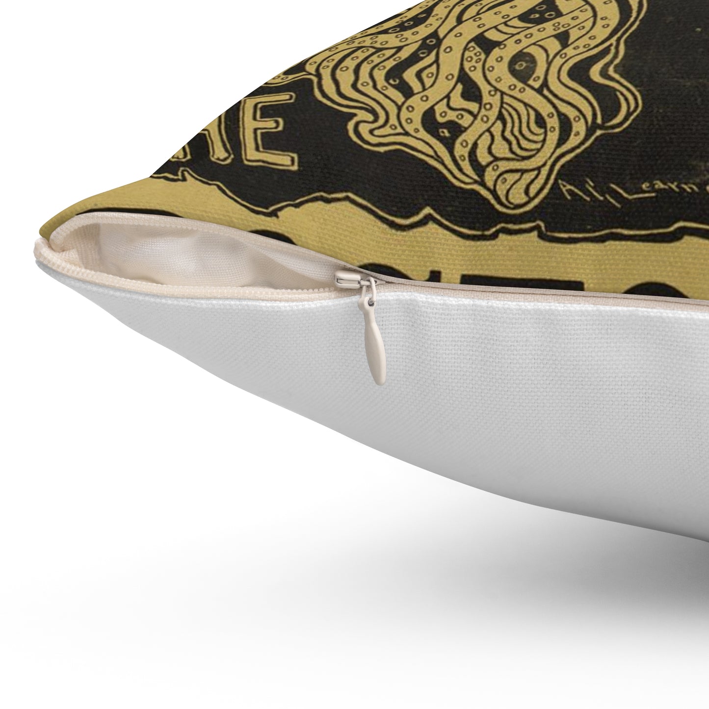 The coming woman. The bostonian. Decorative Accent Square Pillow