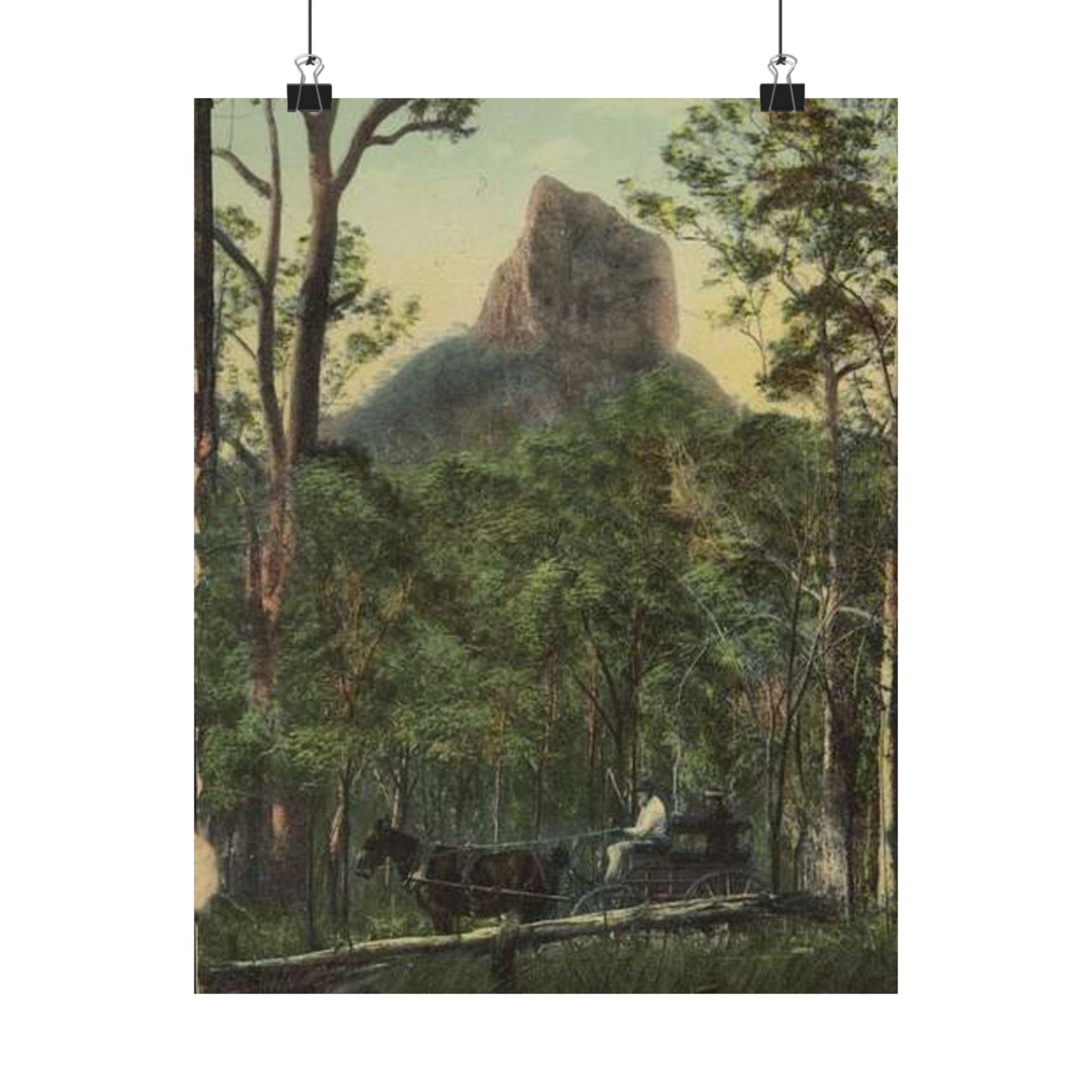 StateLibQld 2 67139 Glasshouse Mountains, Sunshine Coast, Queensland High Quality Matte Wall Art Poster for Home, Office, Classroom