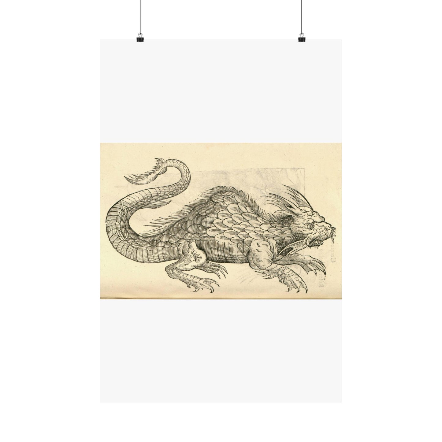 Orobonis Piscis effigies - Public domain portrait drawing  High Quality Matte Wall Art Poster for Home, Office, Classroom