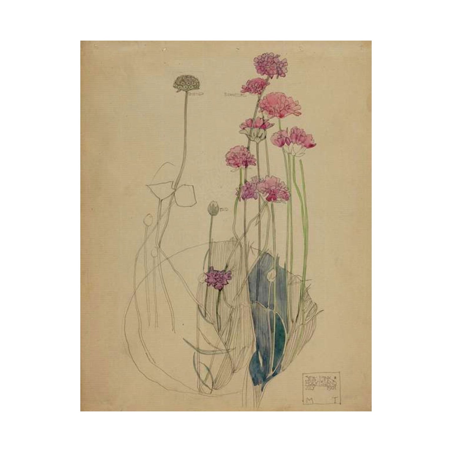 Sea Pink - Holy Island - Charles Rennie Mackintosh - 1901 High Quality Matte Wall Art Poster for Home, Office, Classroom