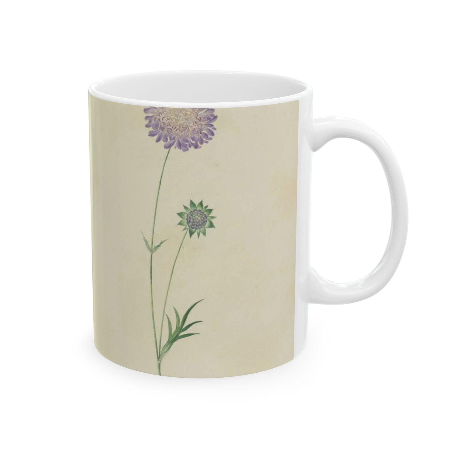 Scabiosa by Lydia Penrose Beautiful Novelty Ceramic Coffee Mug 11oz