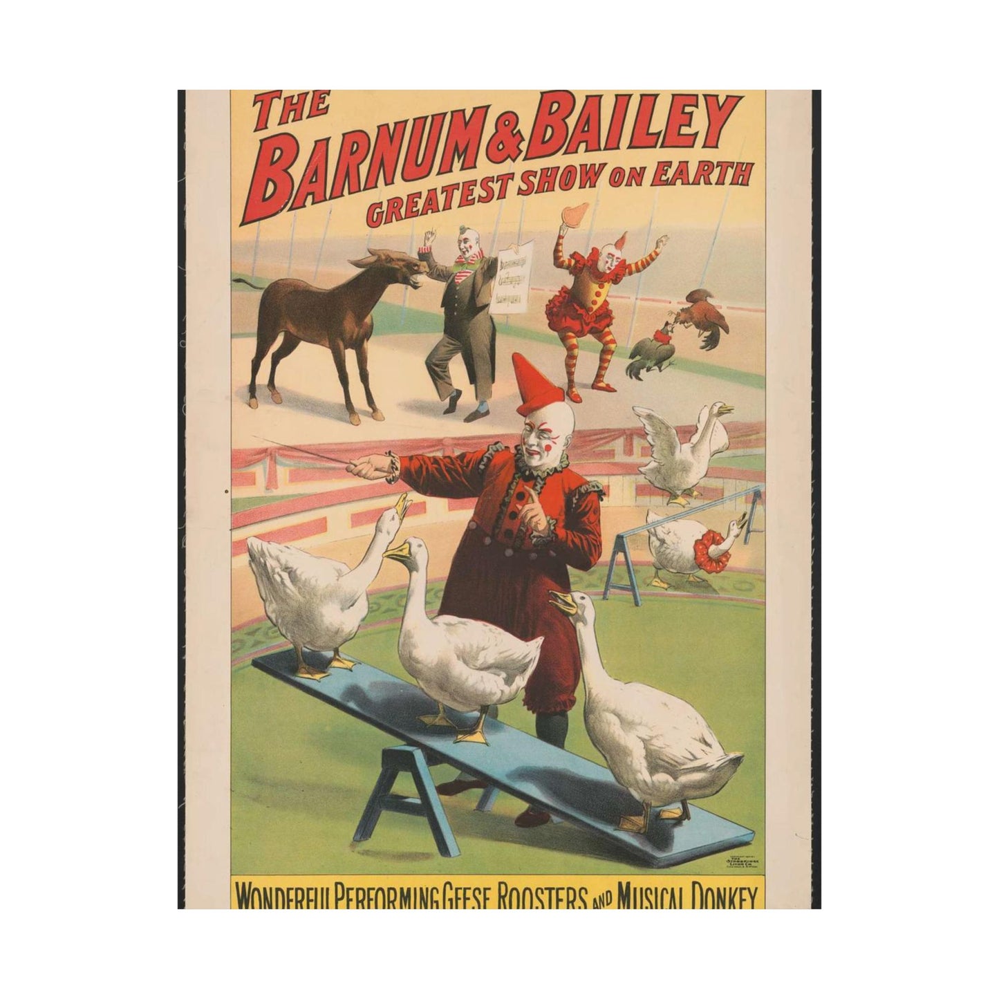 The Barnum & Bailey greatest show on earth. Wonderful performing geese, roosters and musical donkey / Strobridge Litho. Co., Cincinnati & New York. High Quality Matte Wall Art Poster for Home, Office, Classroom