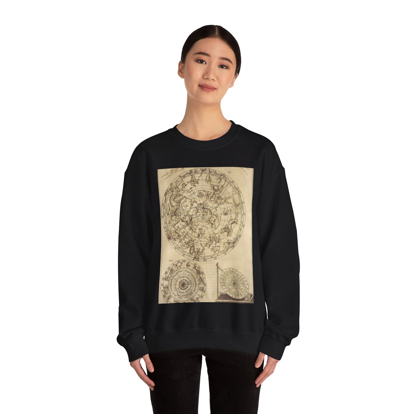 sciathericon stellarum - Drawing. Public domain image. Black Heavy Blend Adult Crew Neck SweatShirt