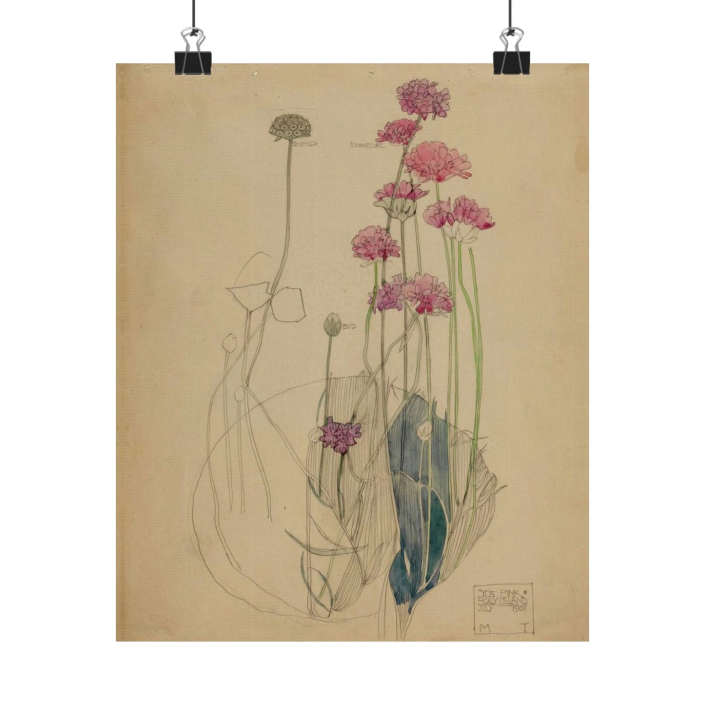 Sea Pink - Holy Island - Charles Rennie Mackintosh - 1901 Matte Vertical Posters