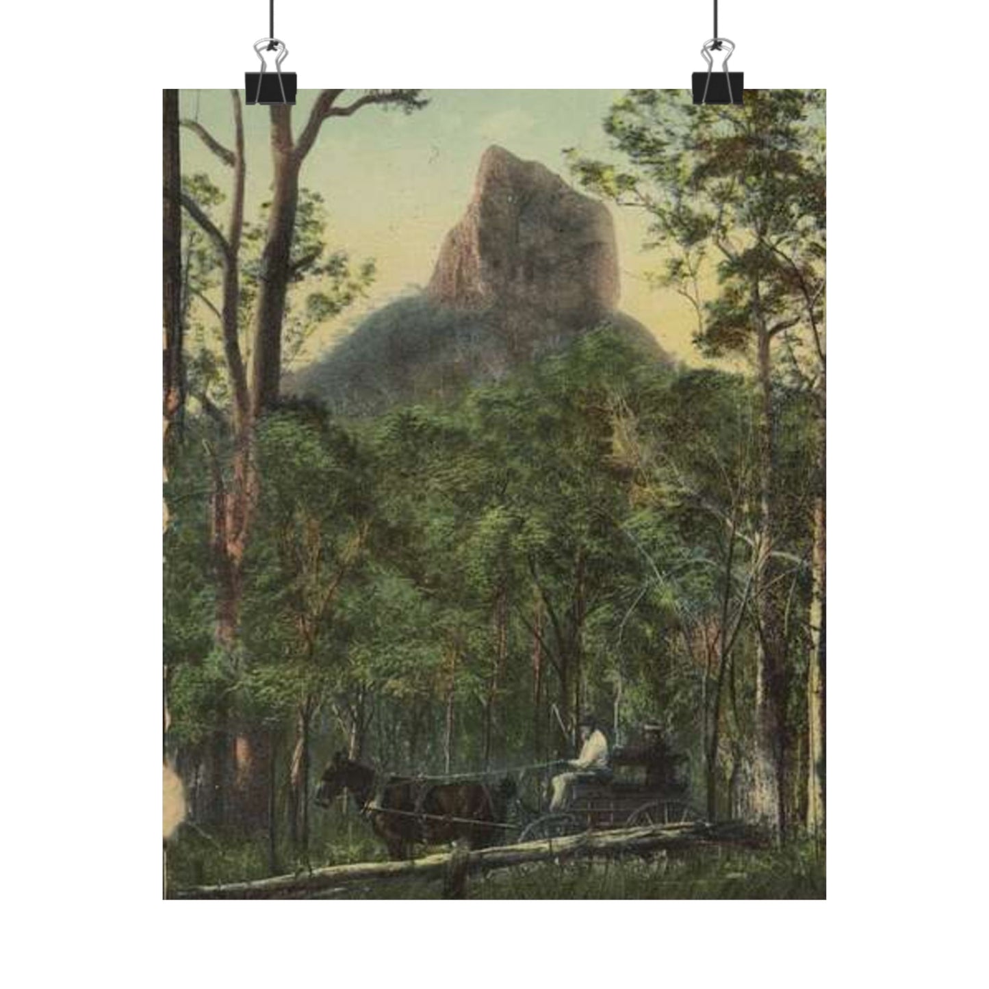 StateLibQld 2 67139 Glasshouse Mountains, Sunshine Coast, Queensland High Quality Matte Wall Art Poster for Home, Office, Classroom