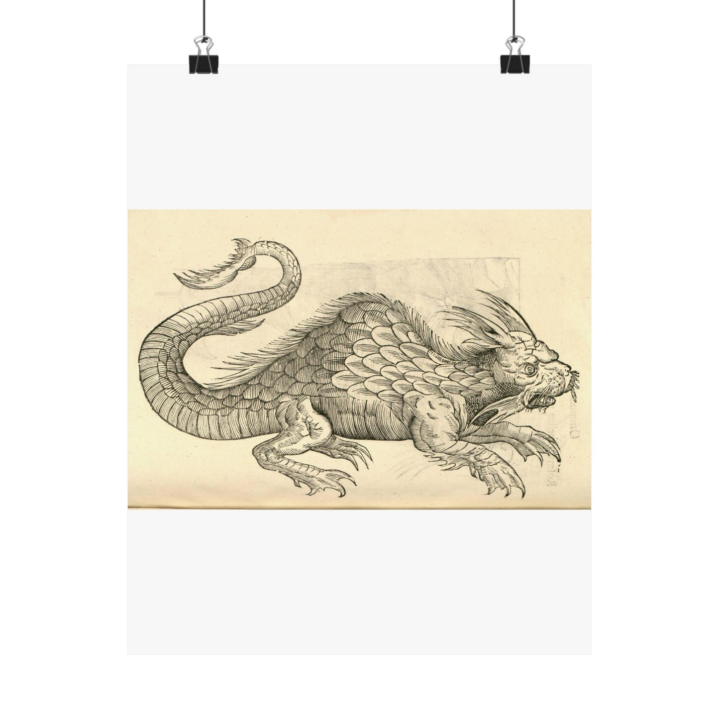 Orobonis Piscis effigies - Public domain portrait drawing  High Quality Matte Wall Art Poster for Home, Office, Classroom