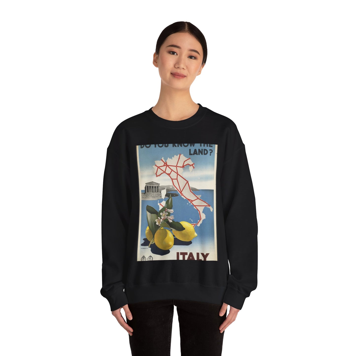 Vintage Travel Posters, 1920s-1930s Black Heavy Blend Adult Crew Neck SweatShirt