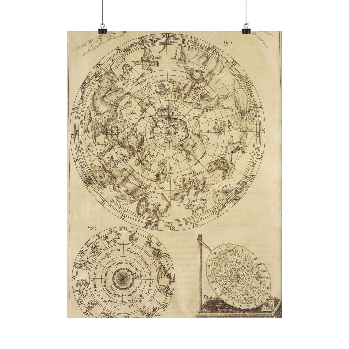 sciathericon stellarum - Drawing. Public domain image. High Quality Matte Wall Art Poster for Home, Office, Classroom