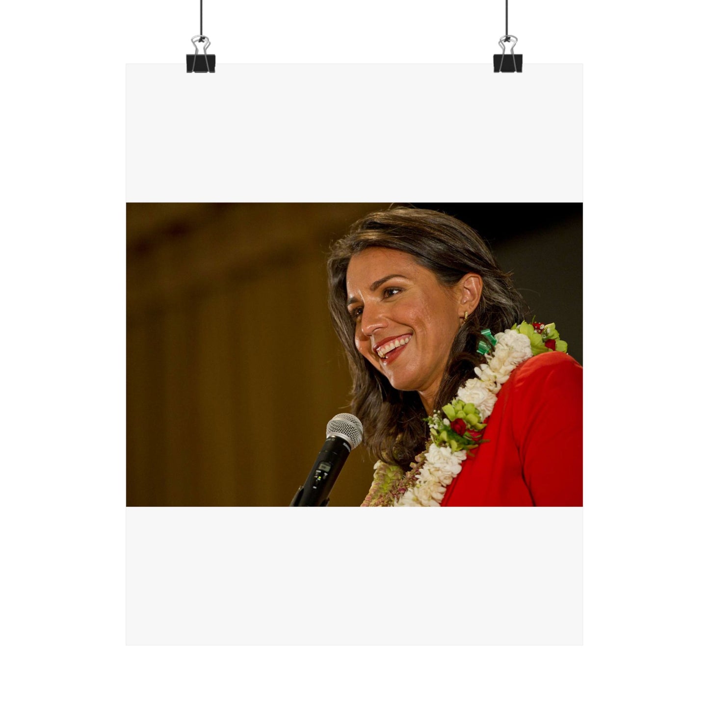 United States Representative for Hawaii's second High Quality Matte Wall Art Poster for Home, Office, Classroom