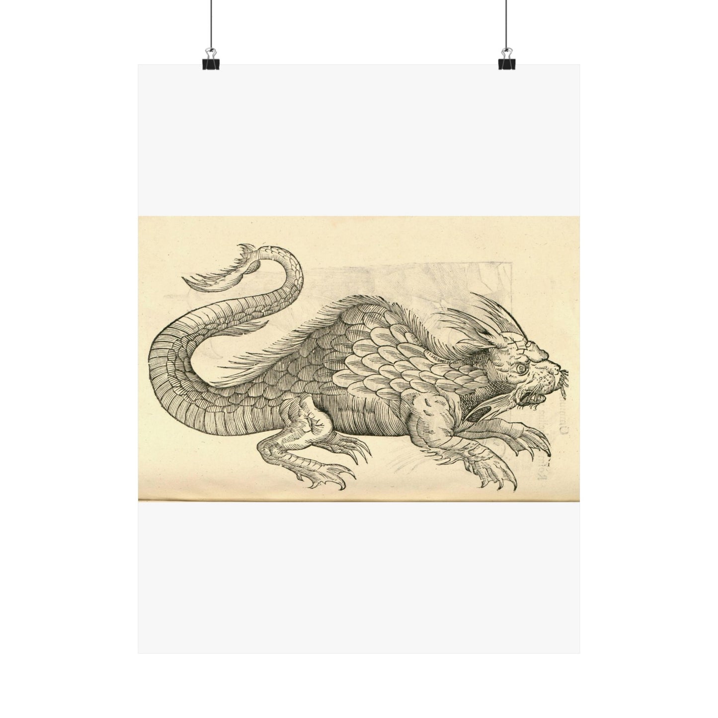 Orobonis Piscis effigies - Public domain portrait drawing  High Quality Matte Wall Art Poster for Home, Office, Classroom